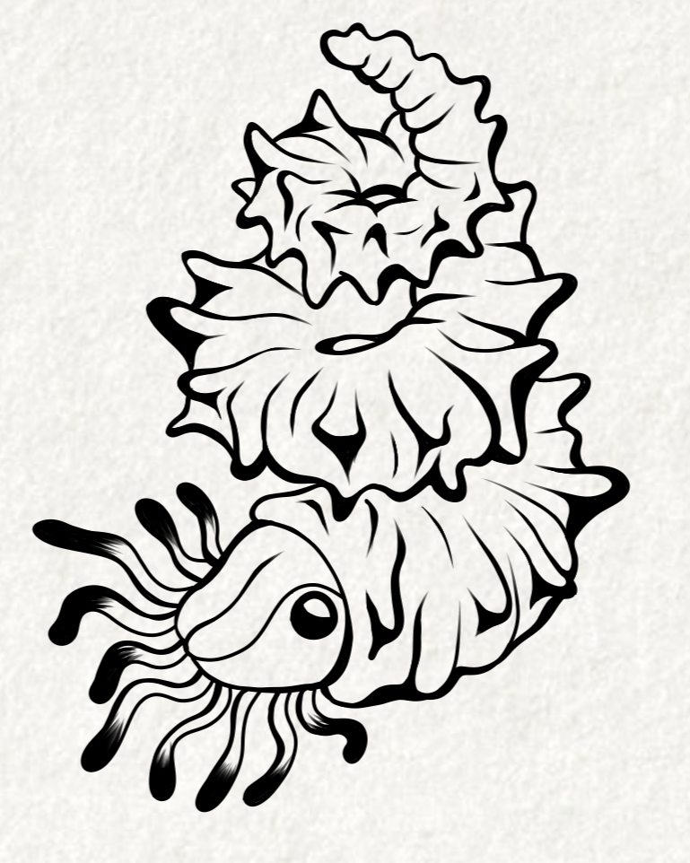 #01 Crustáceo primitivo 