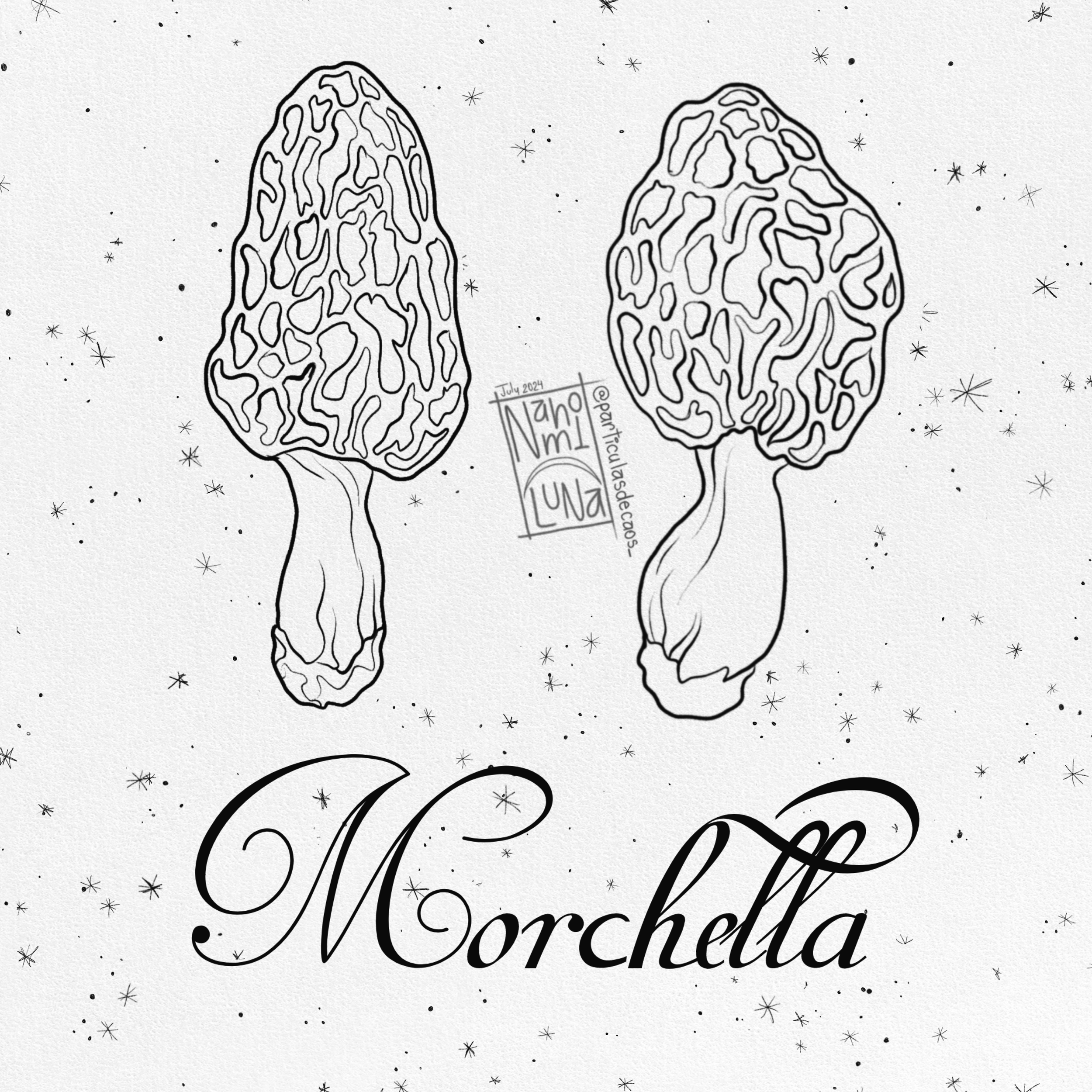 Flores de primavera por nahomi luna  (4).PNG