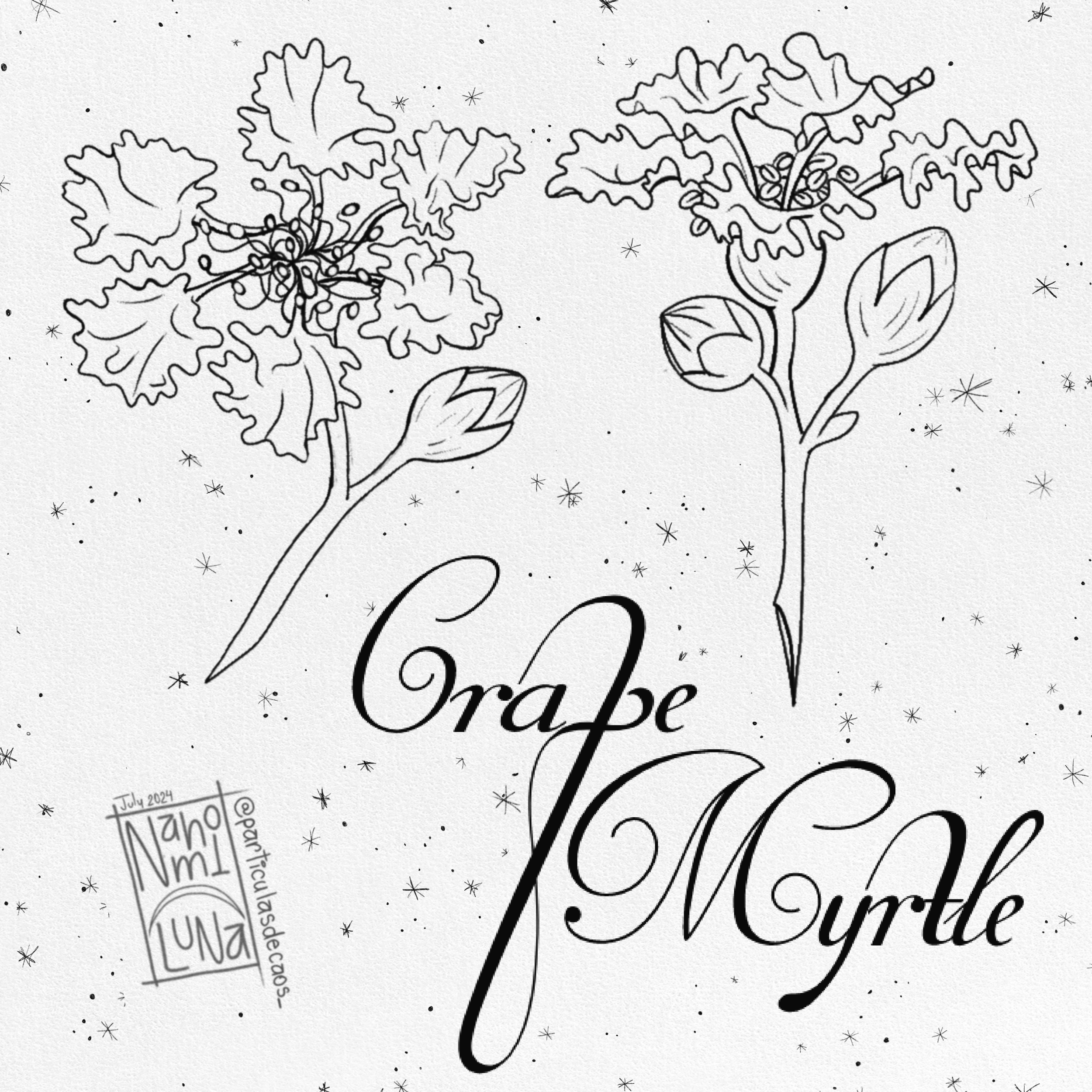 Flores de primavera por nahomi luna  (3).PNG