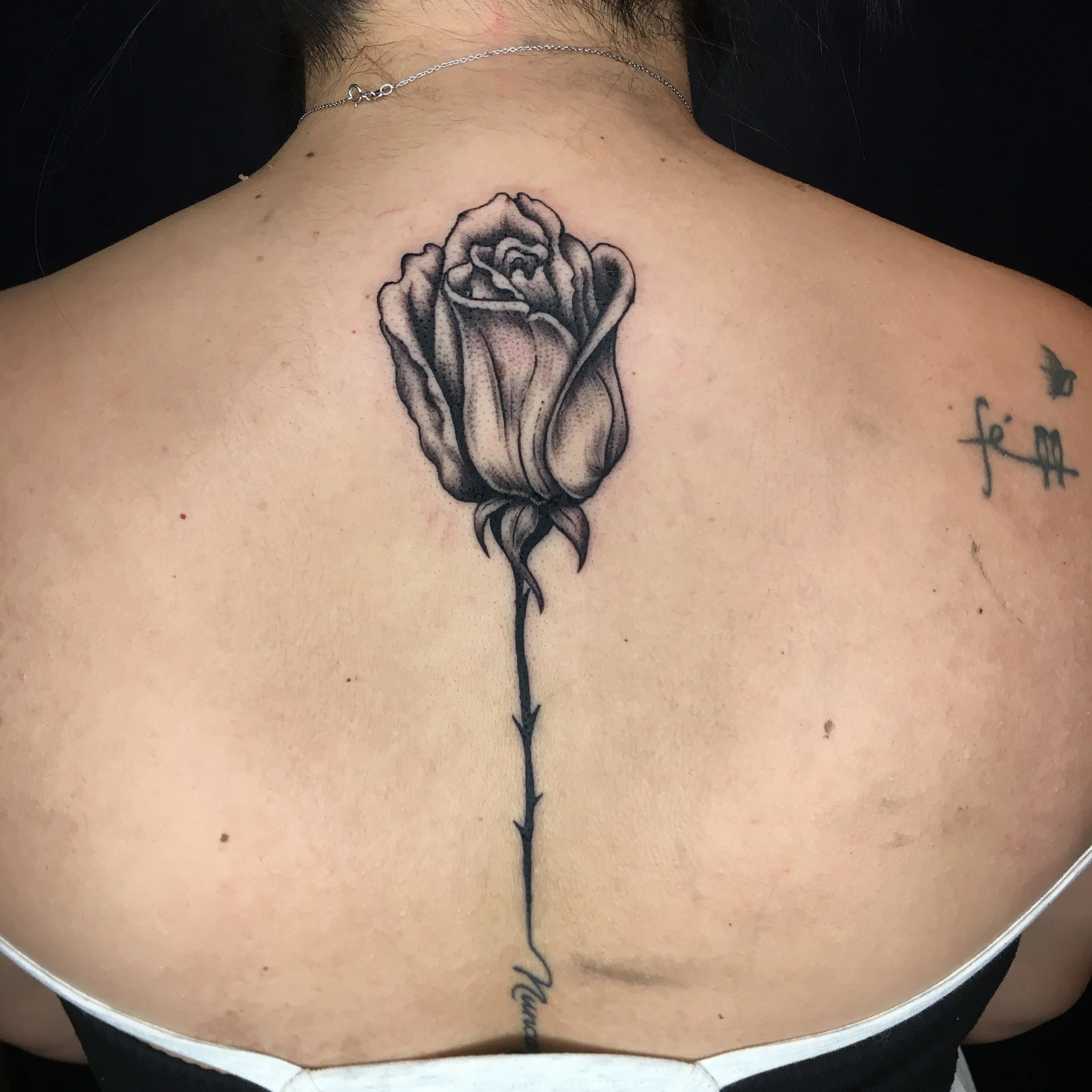 Derechos reservados - Nahomi Luna aka particulas de caos - 2024- (25).JPG