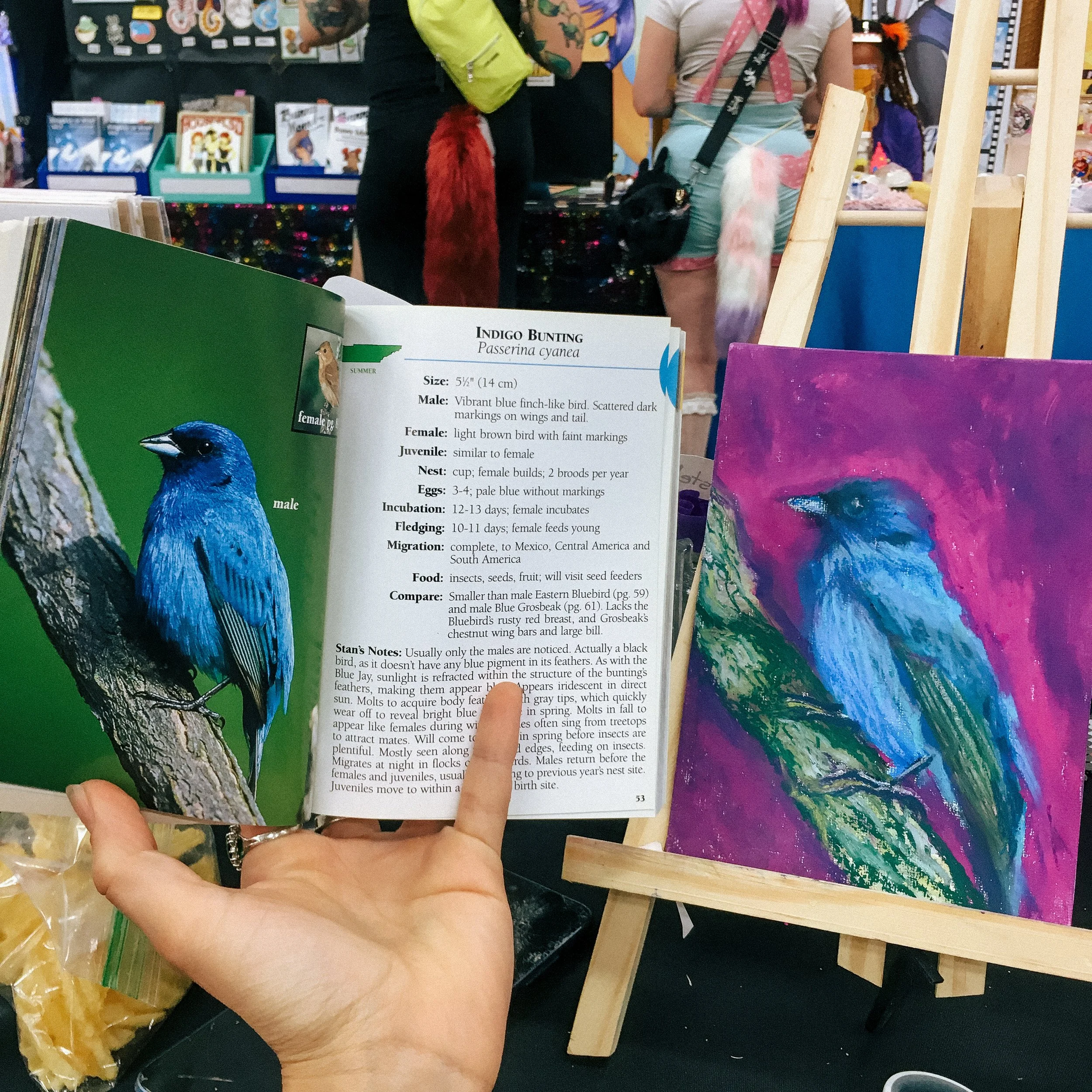 Pajarito by nahomi luna 2024.JPG