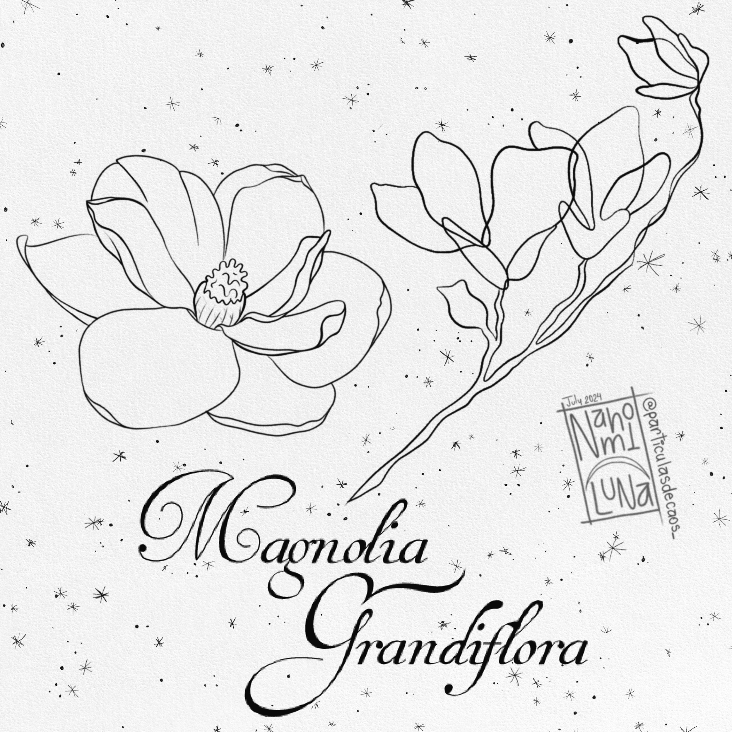 Flores de primavera por nahomi luna  (1).PNG