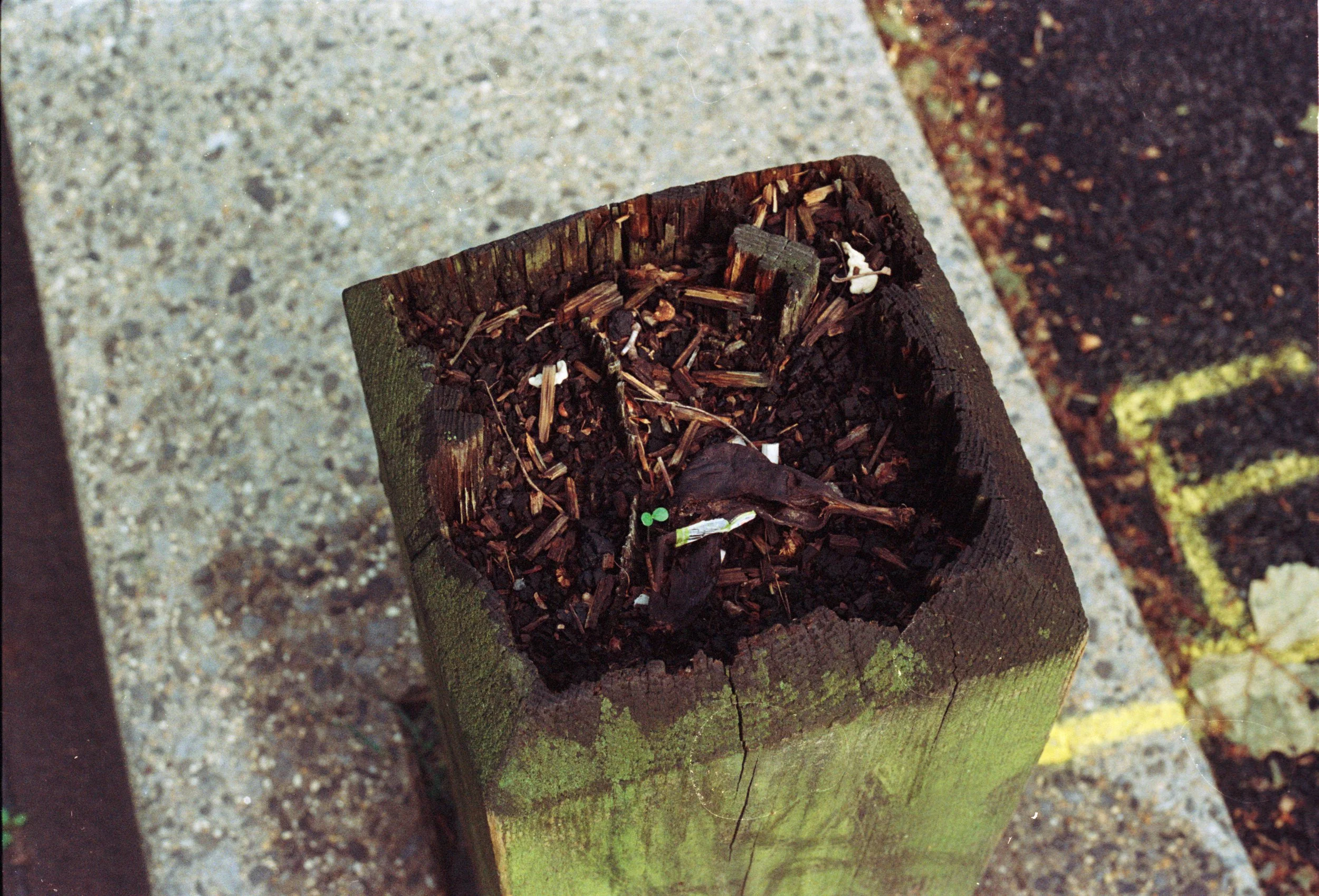 Monad Prints (12 of 23).JPG