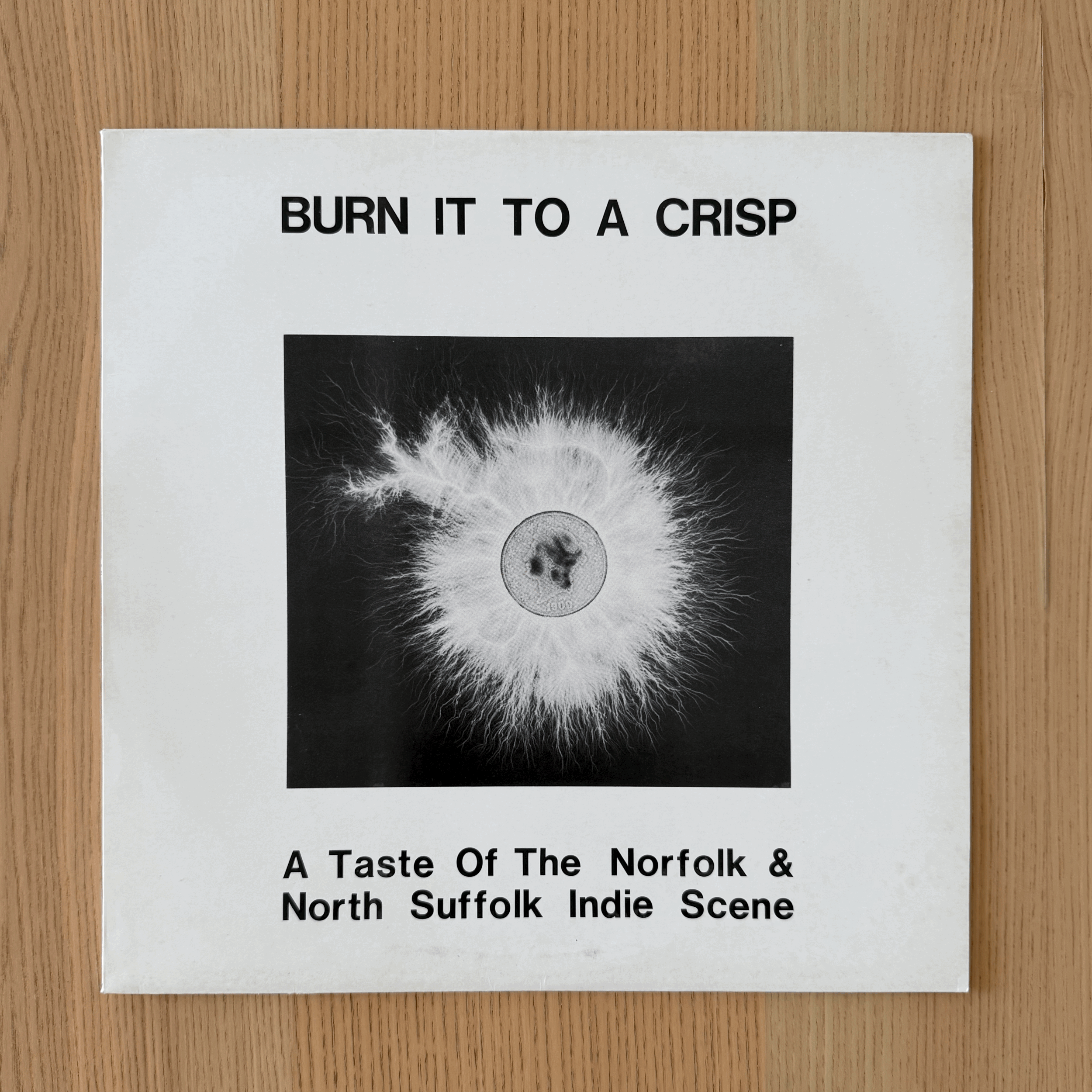 Various - Burn It To A Crisp: A Taste Of The Norfolk & North Suffolk Indie Scene