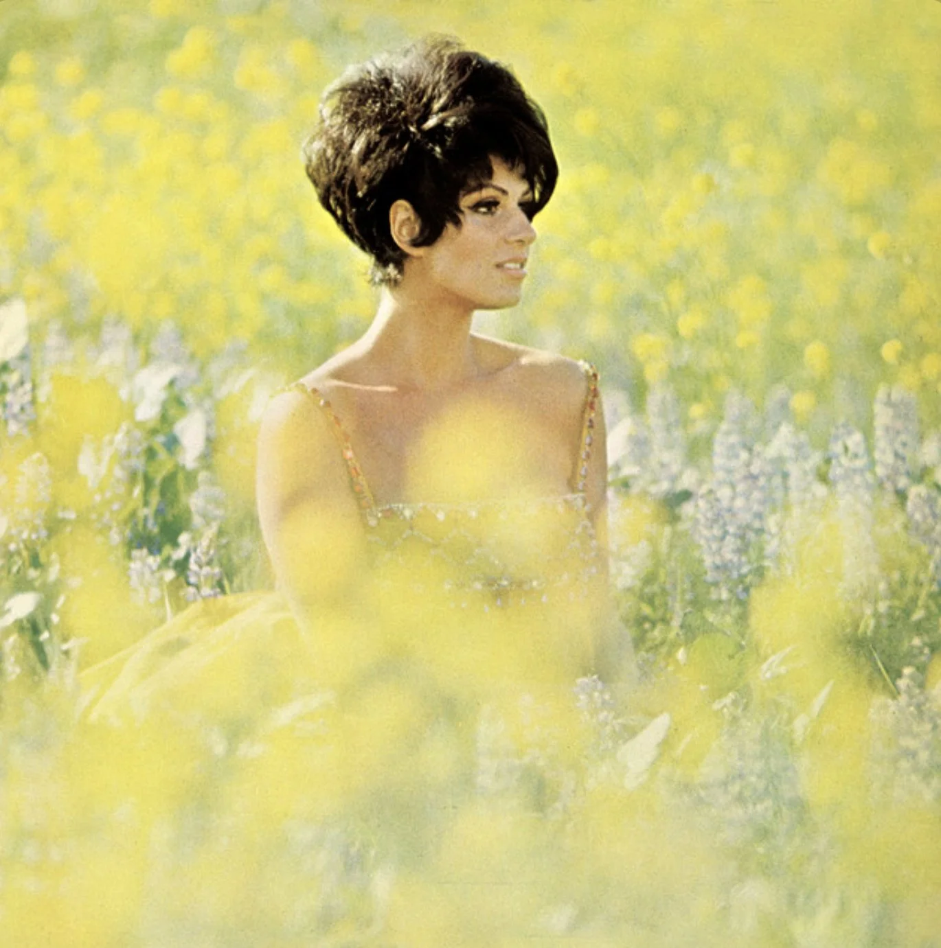 Lainie Kazan - Love Is Lainie