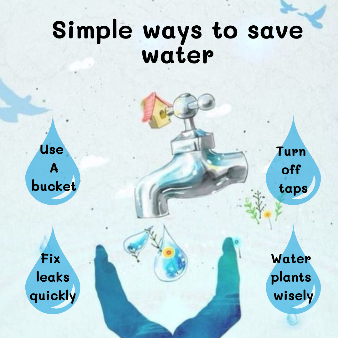 Ch 15: Water Wisdom — Clean Choices Together