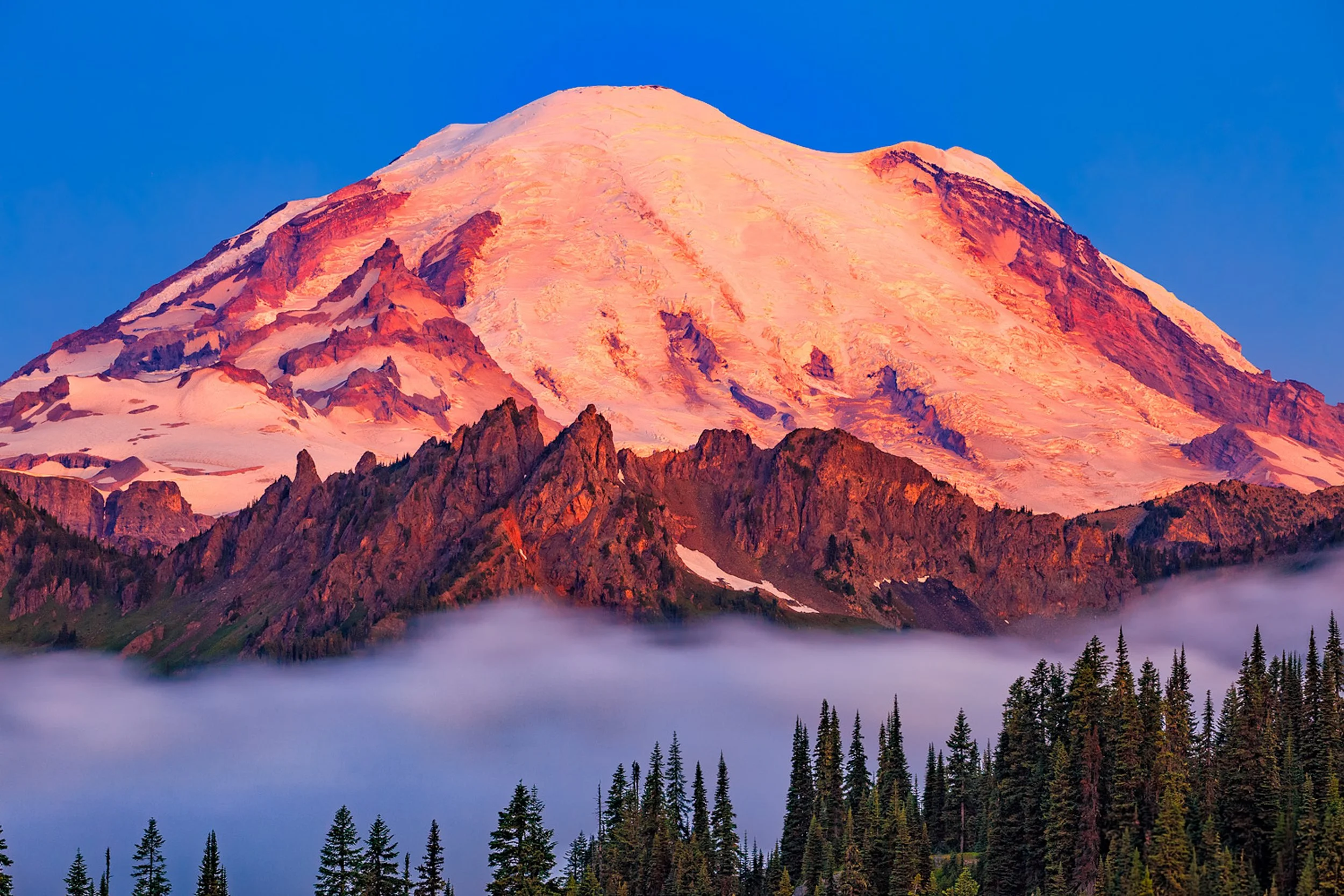 Sunrise Mt Rainier NP