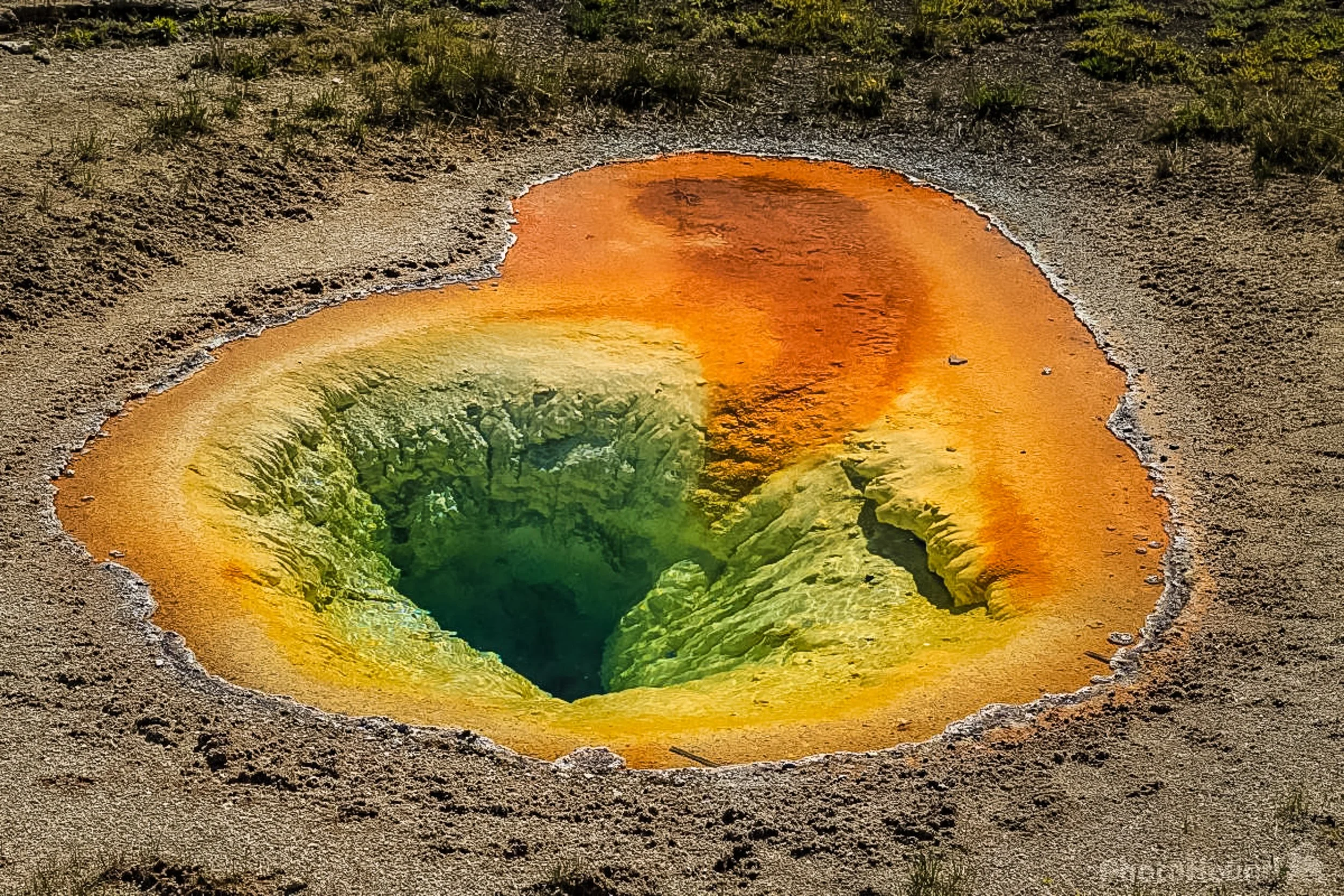 MudPots Yellowstone National Park