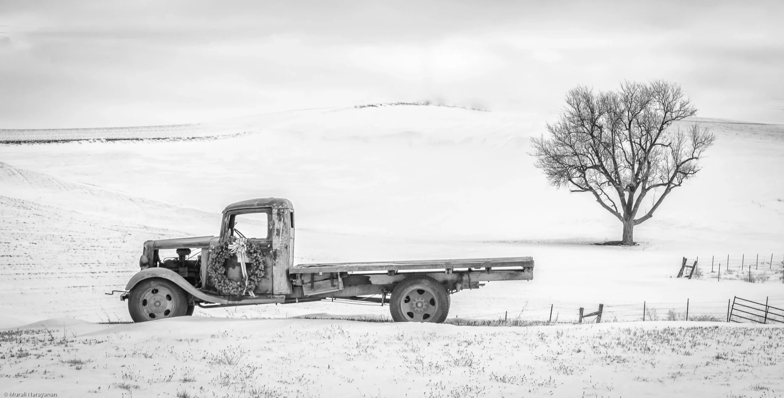 albion-truck-tree-bw-01.jpg