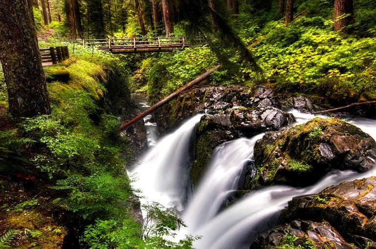 Olympic National Park