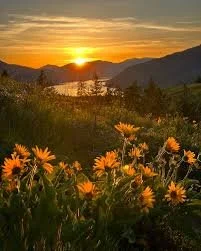 Rowena Crest Oregon