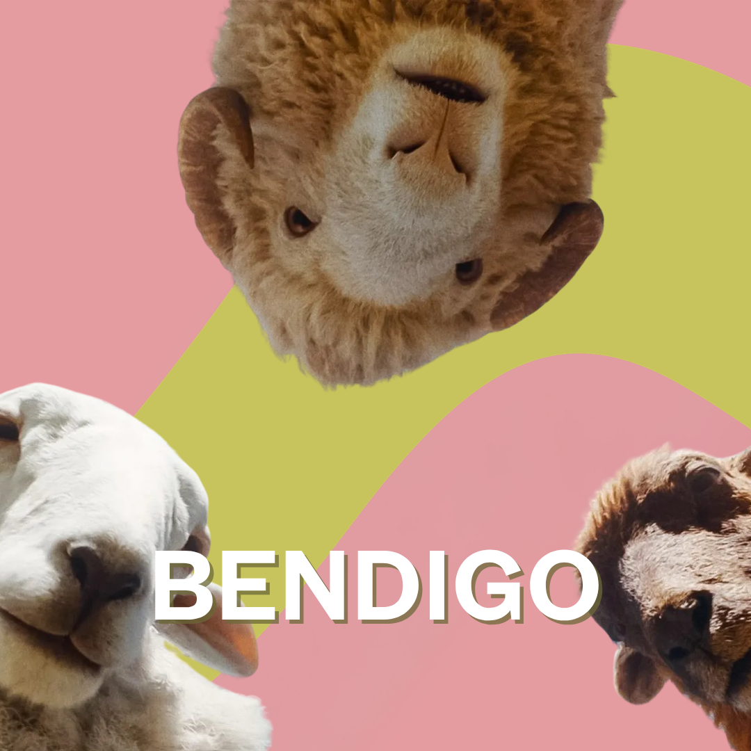 The Sheep Detectives - Bendigo
