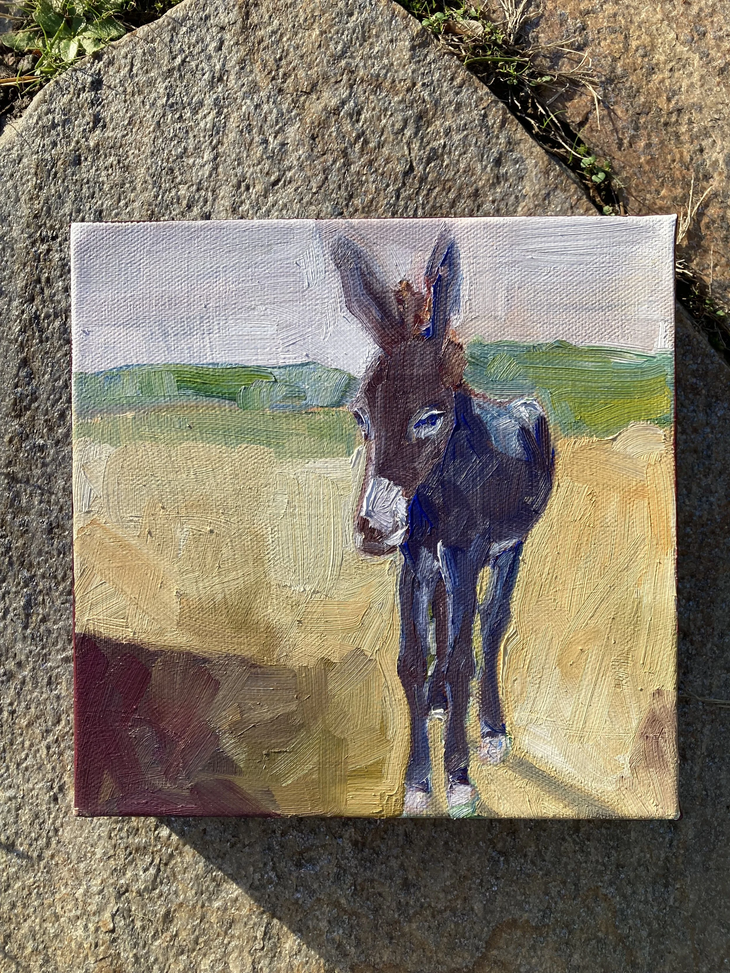 Jasper oil on canvas 8x8 inches