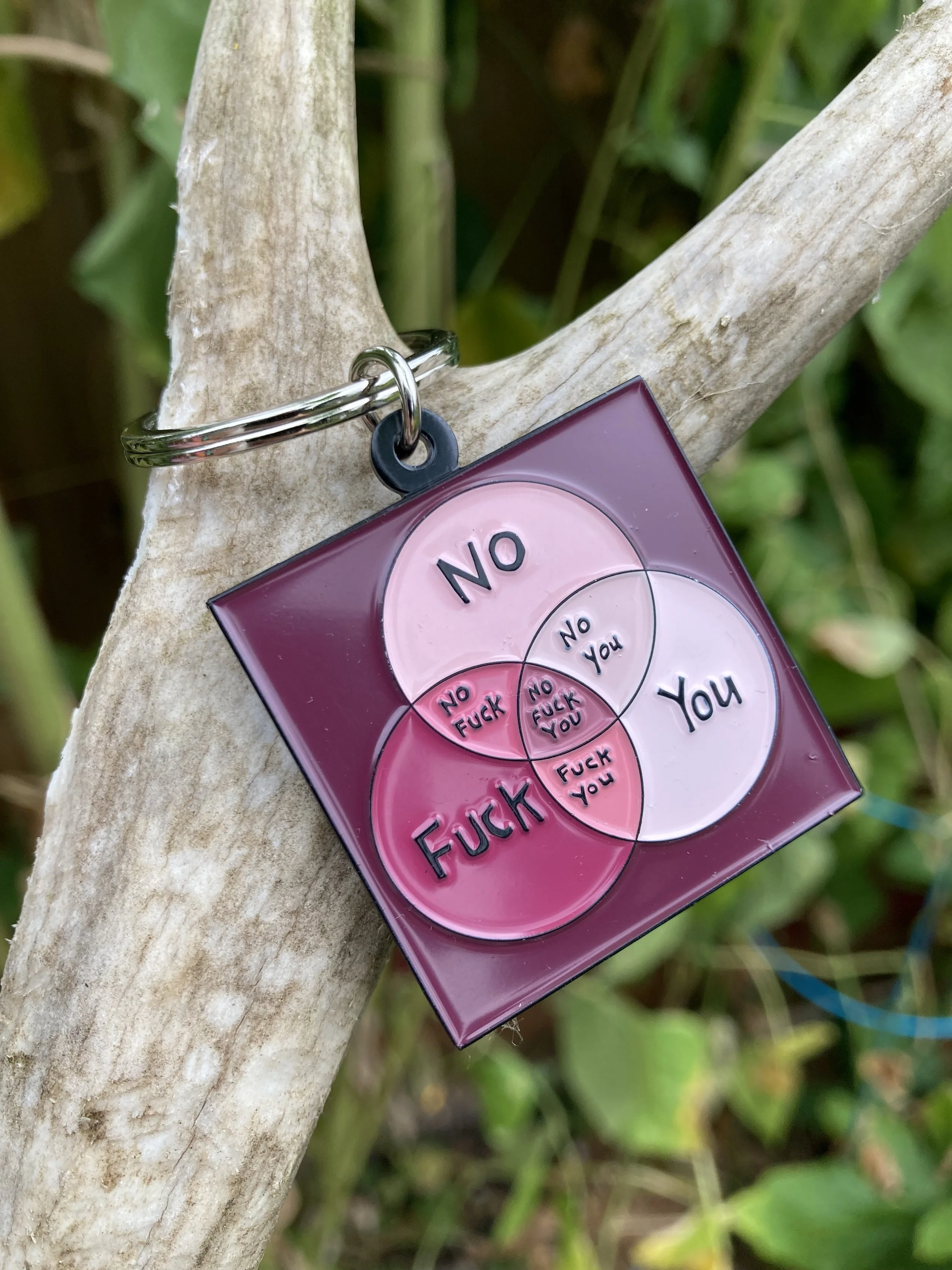 Venn Keychain $12