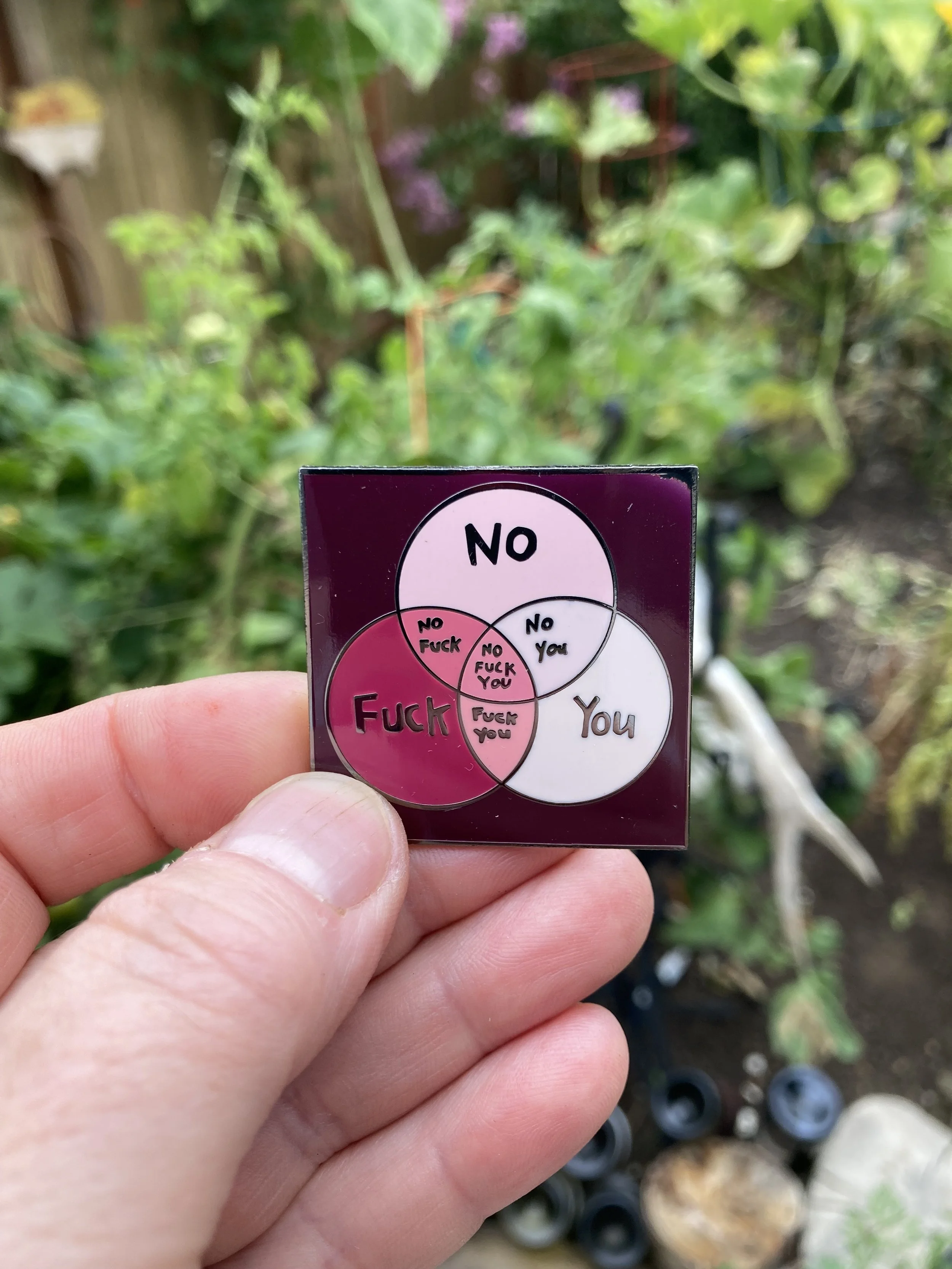 Venn Pin $10