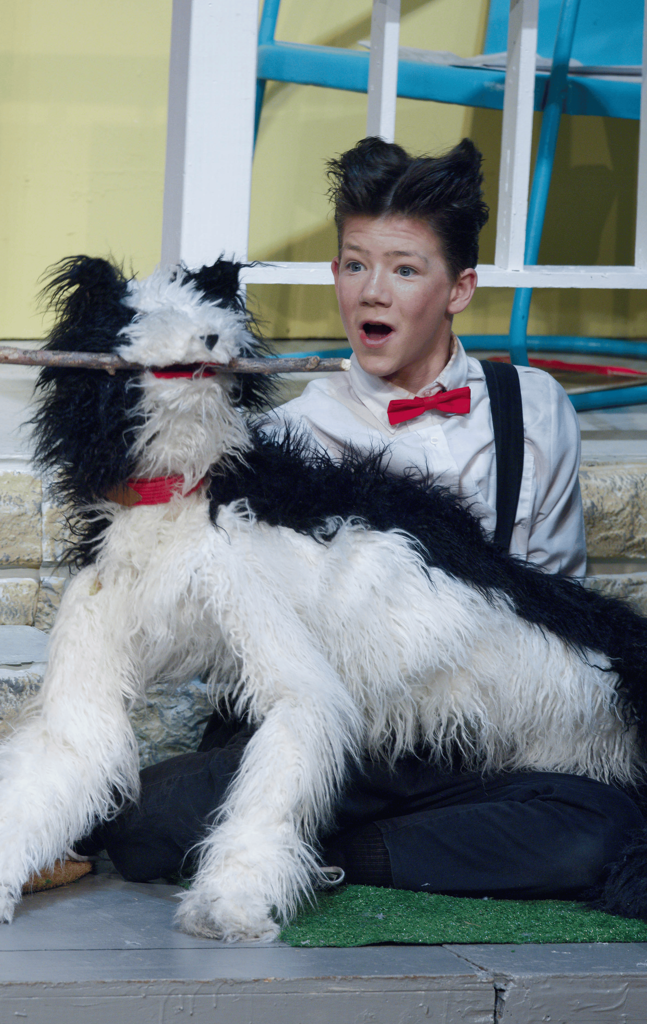 A young man with a surprised expression, wearing a white shirt, red bow tie, and black suspenders, sitting on the ground with a large black and white dog that has a stick in its mouth. The background includes a yellow wall, a blue and white ladder, and a green mat.