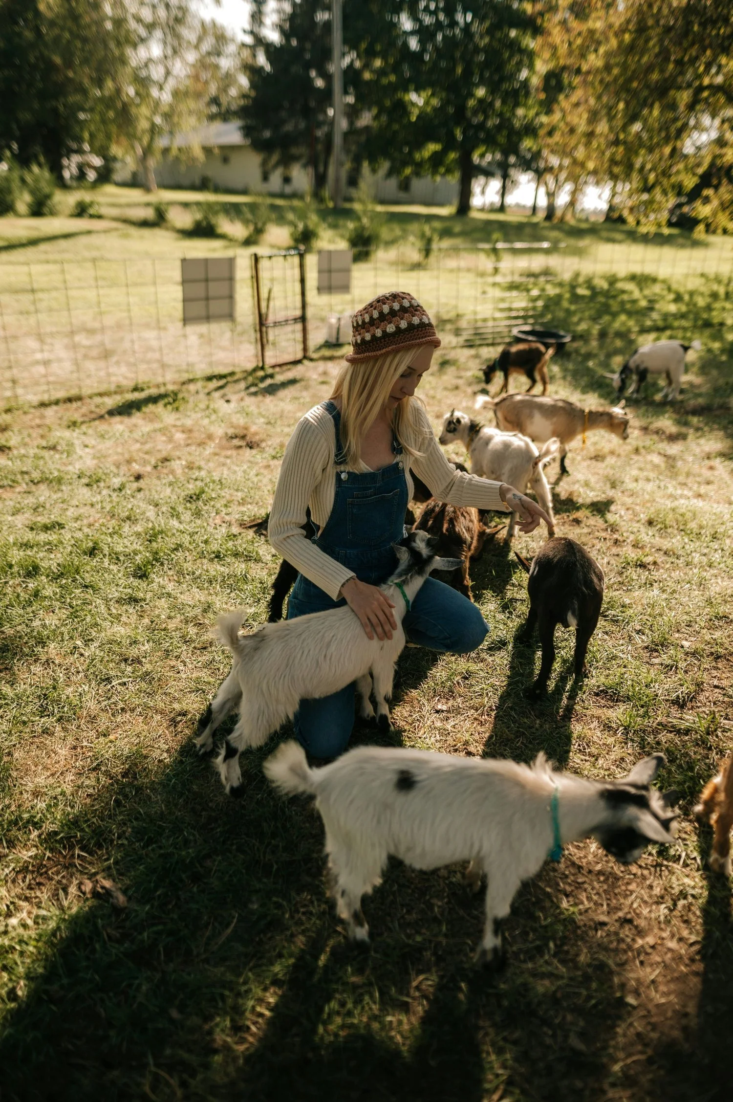Farm Animals