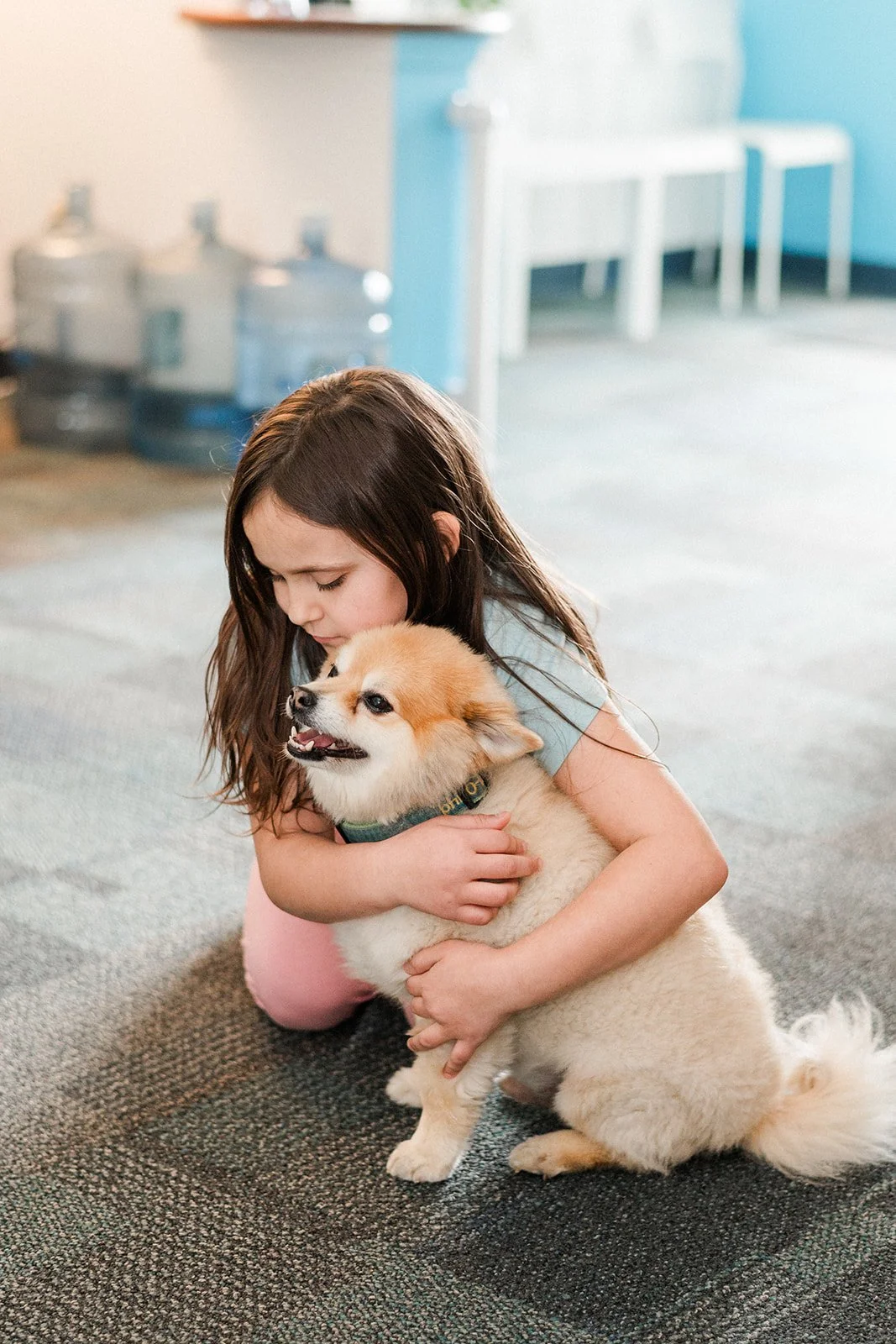 A young girl with long brown hair embraces a small, fluffy, tan and white dog while sitting on a carpeted floor in a room with blue walls and water containers in the background.