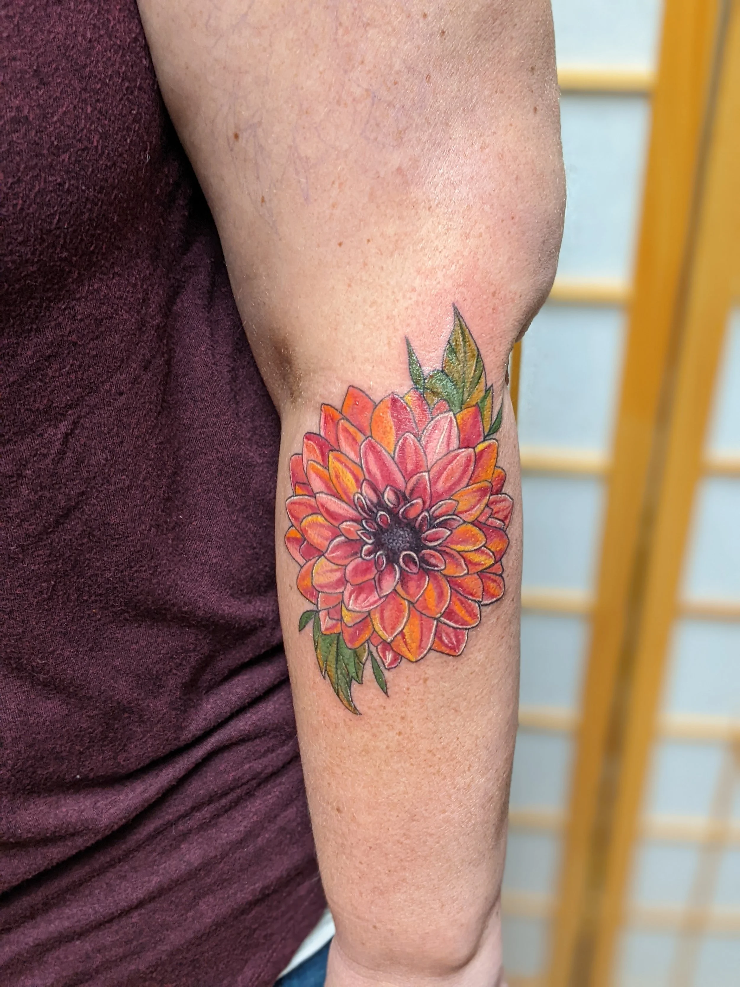 Dahlia.jpg