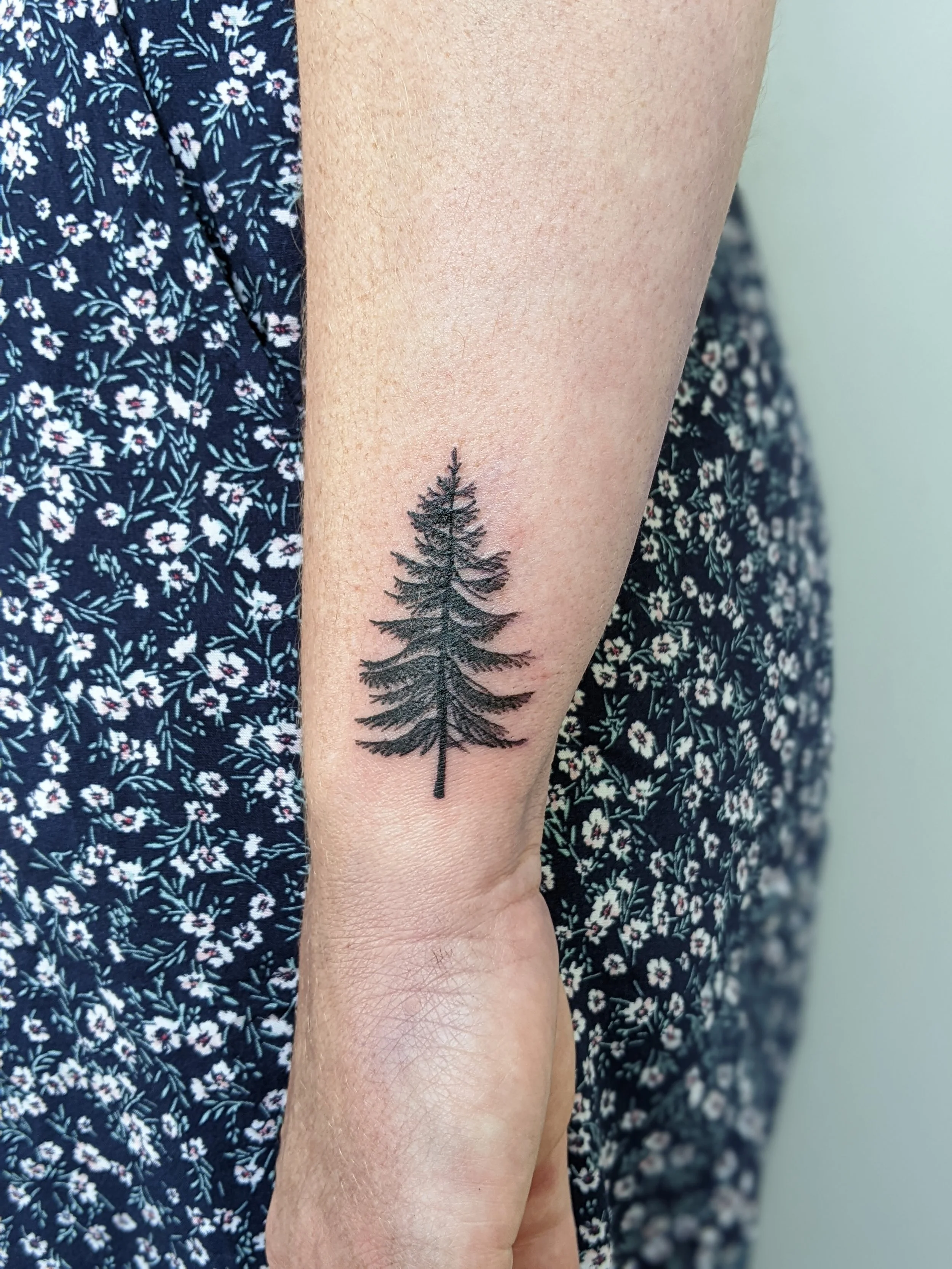 tiny pine.jpg