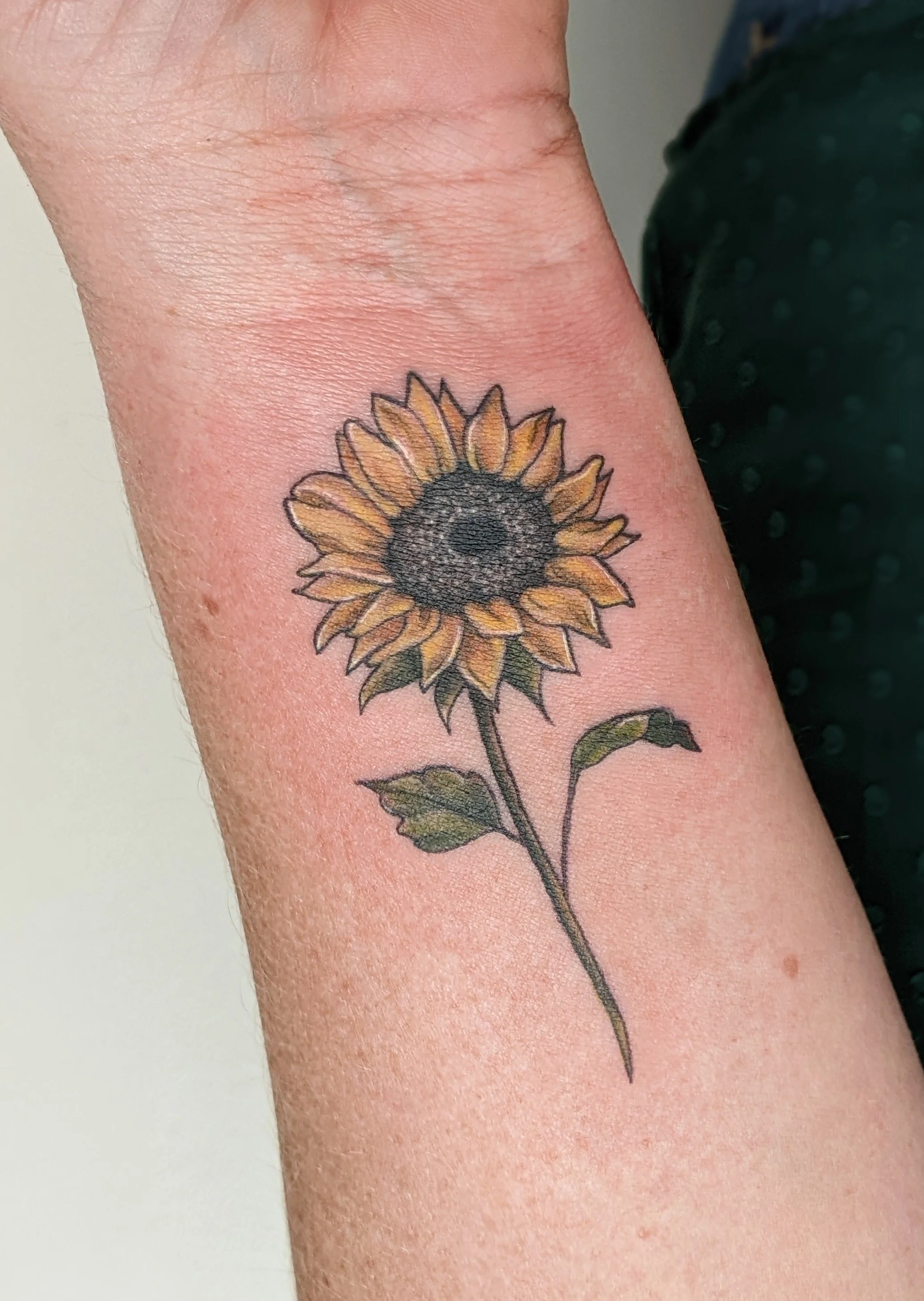 sunflower.jpg