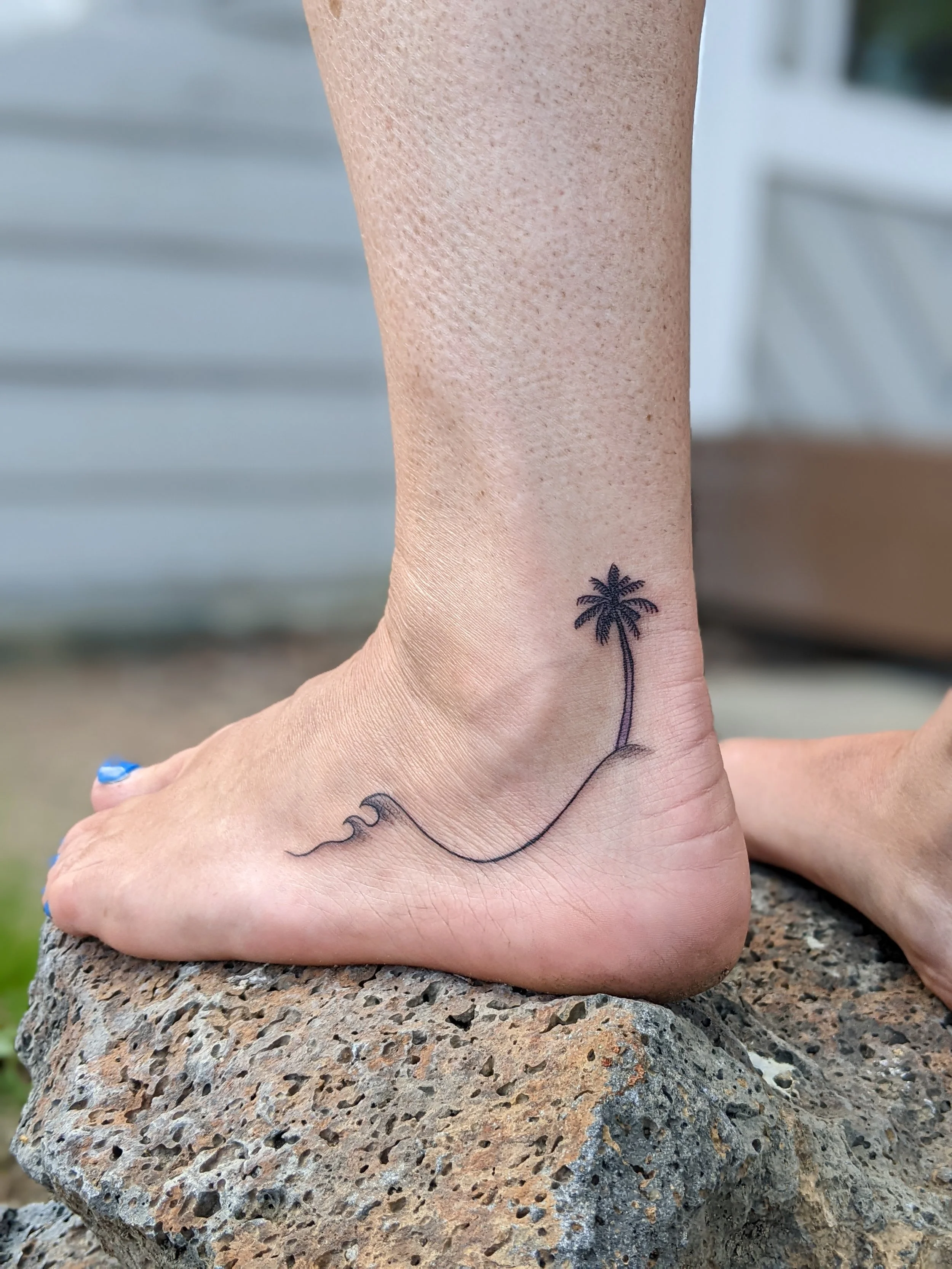 tiny palmtree.jpg