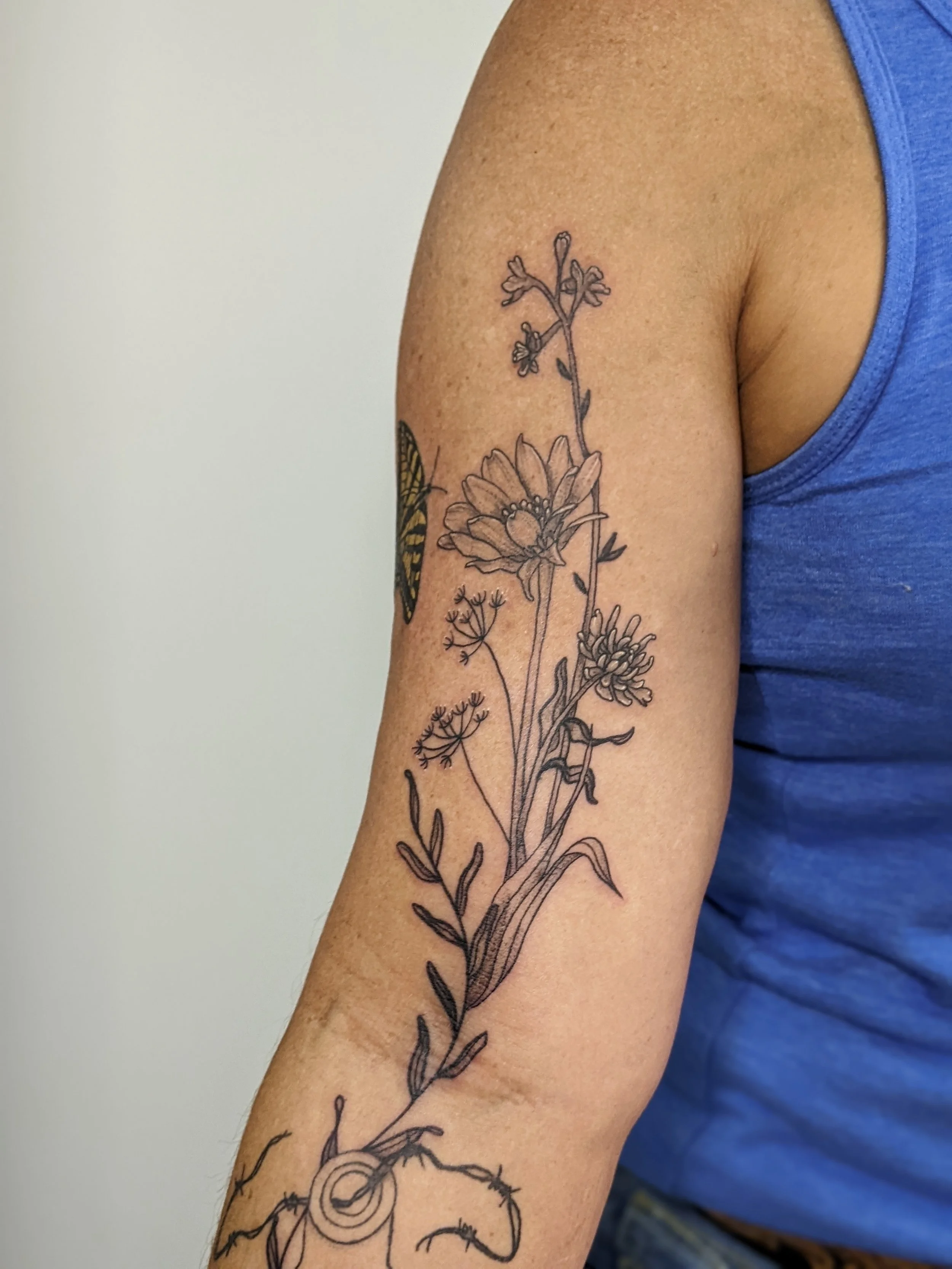 wildflower and butterfly.jpg