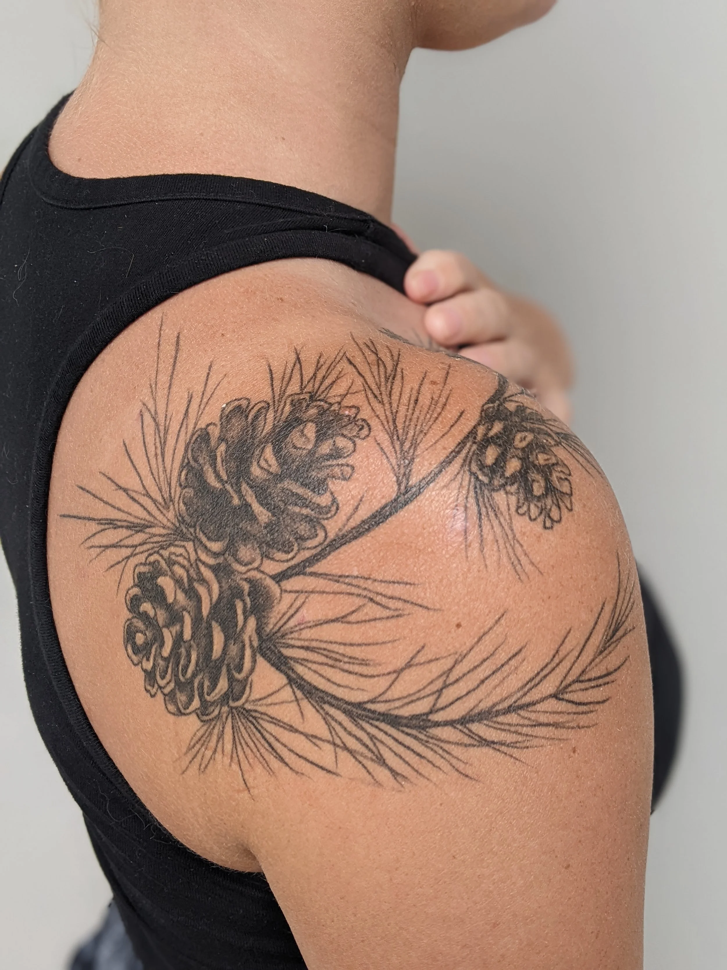 pine shoulder healed.jpg