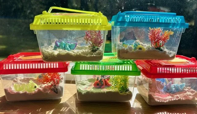 Six plastic underwater-themed containers with colorful lids arranged in two rows, with small sand and toy sea creatures inside.