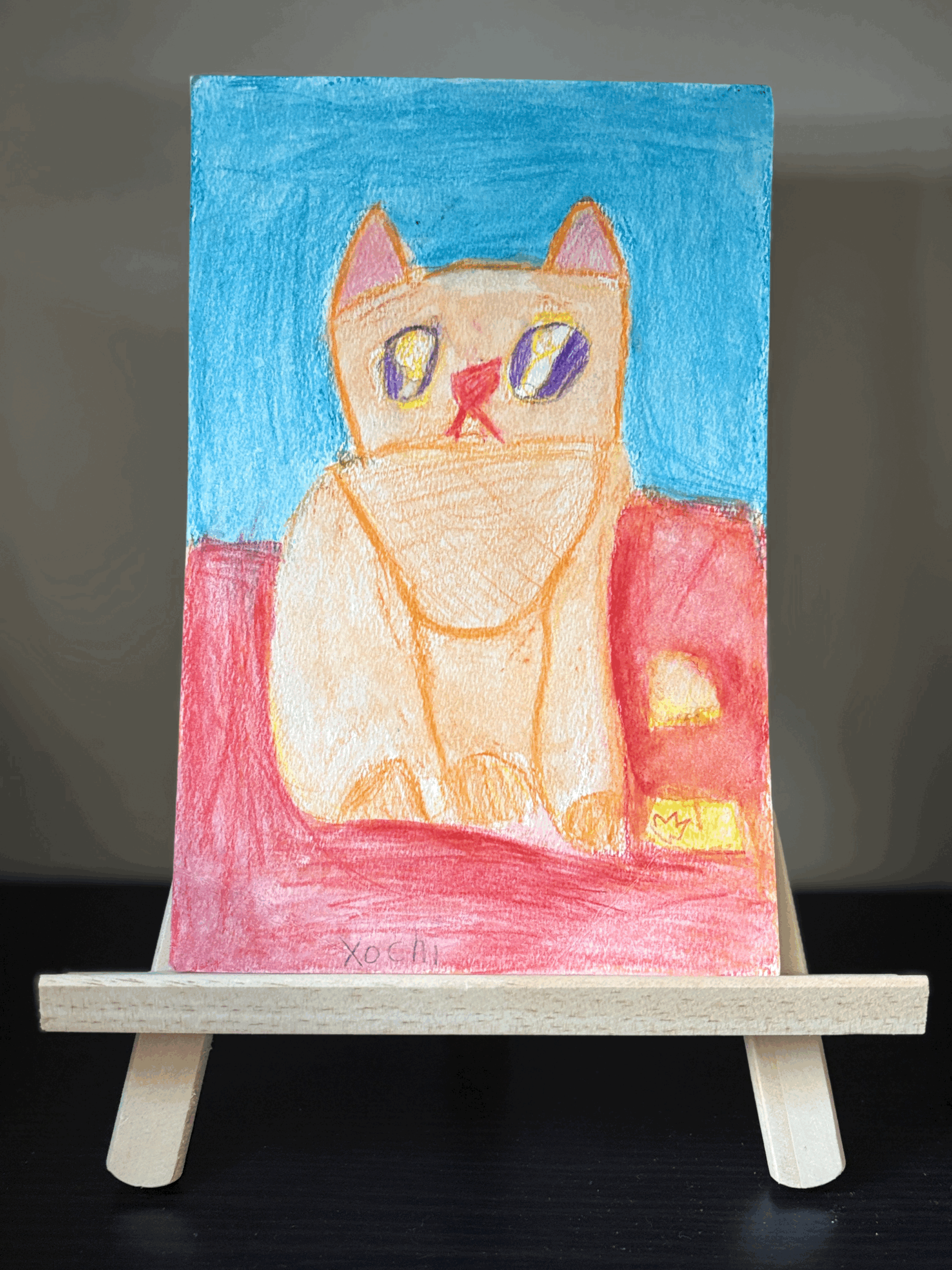 "A Cat At The Beach" (Series 6)
