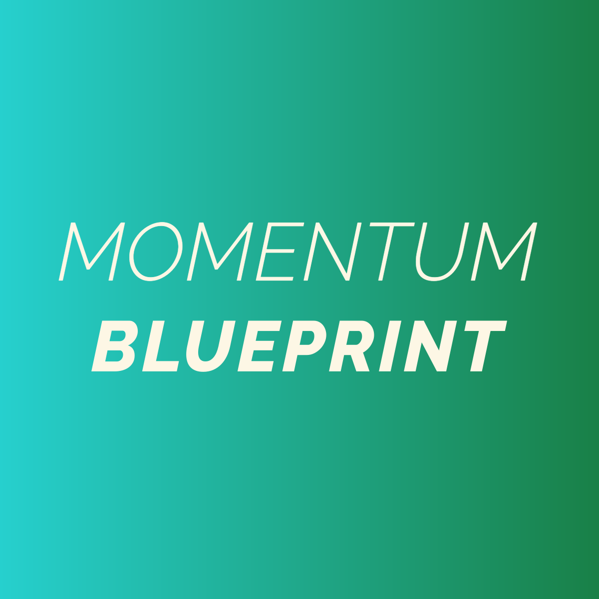 MOMENTUM Blueprint