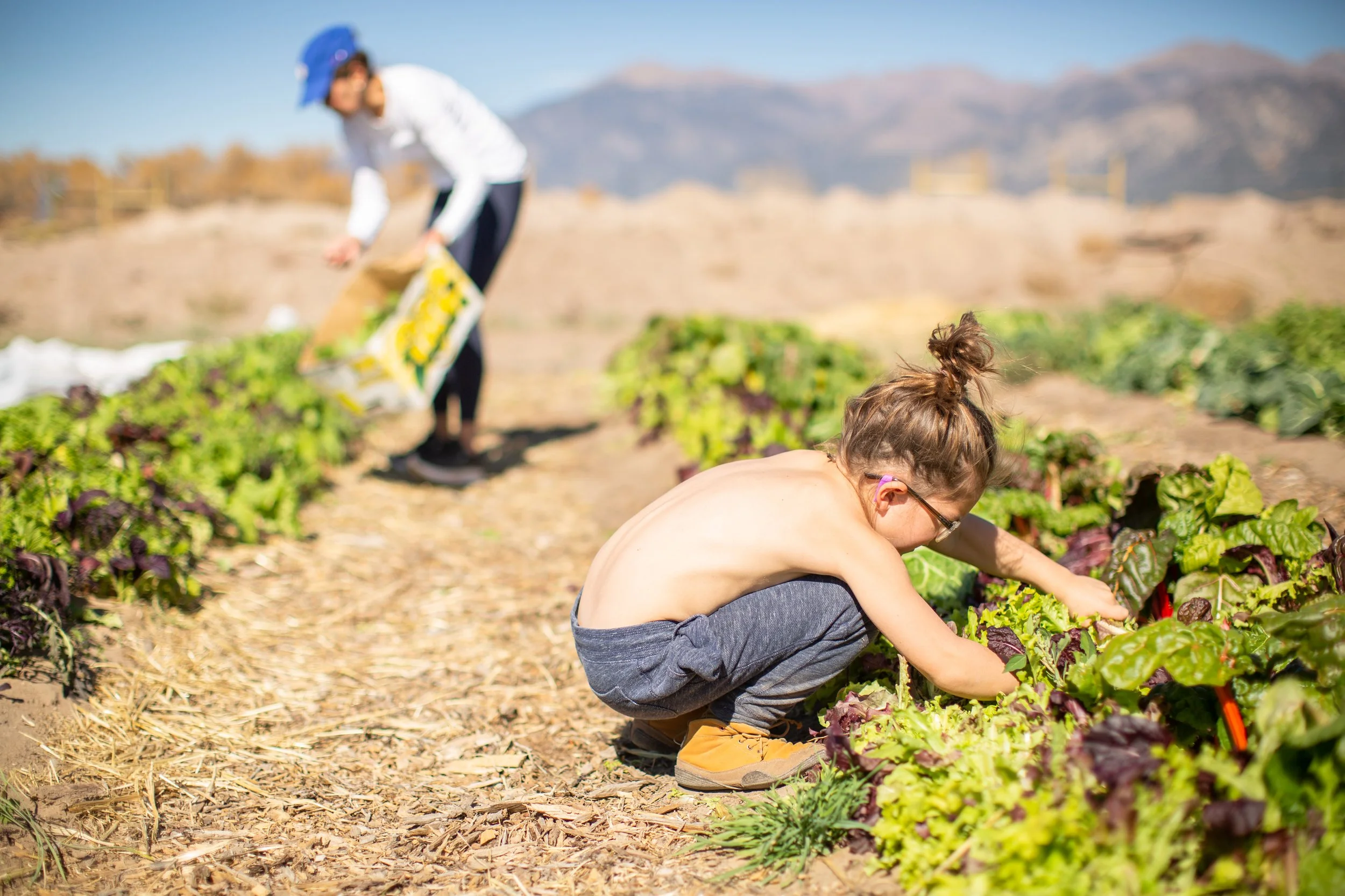 Kaias 6th Birthday-49.jpg