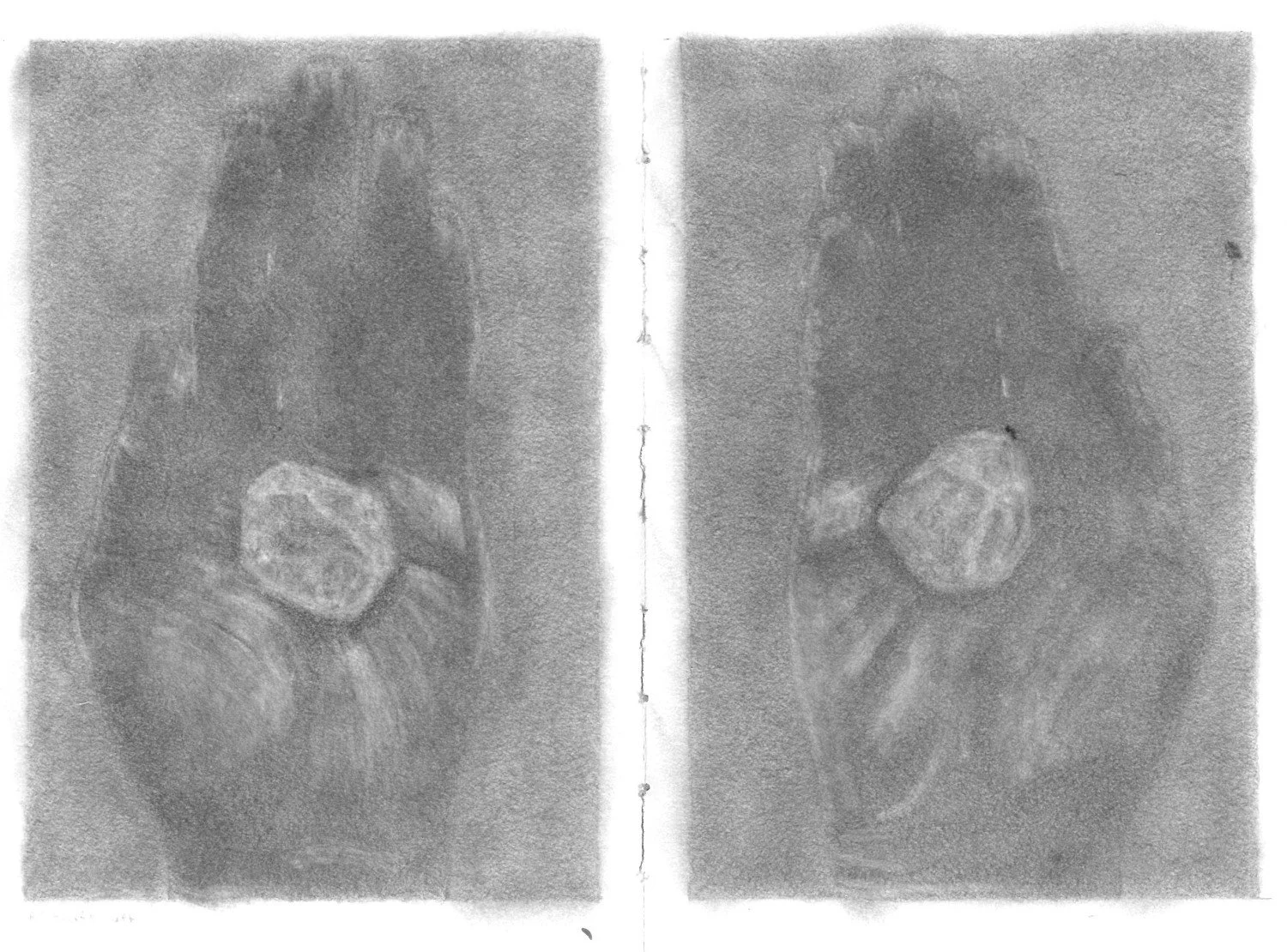 Nouran Husain_All That's Left.jpg