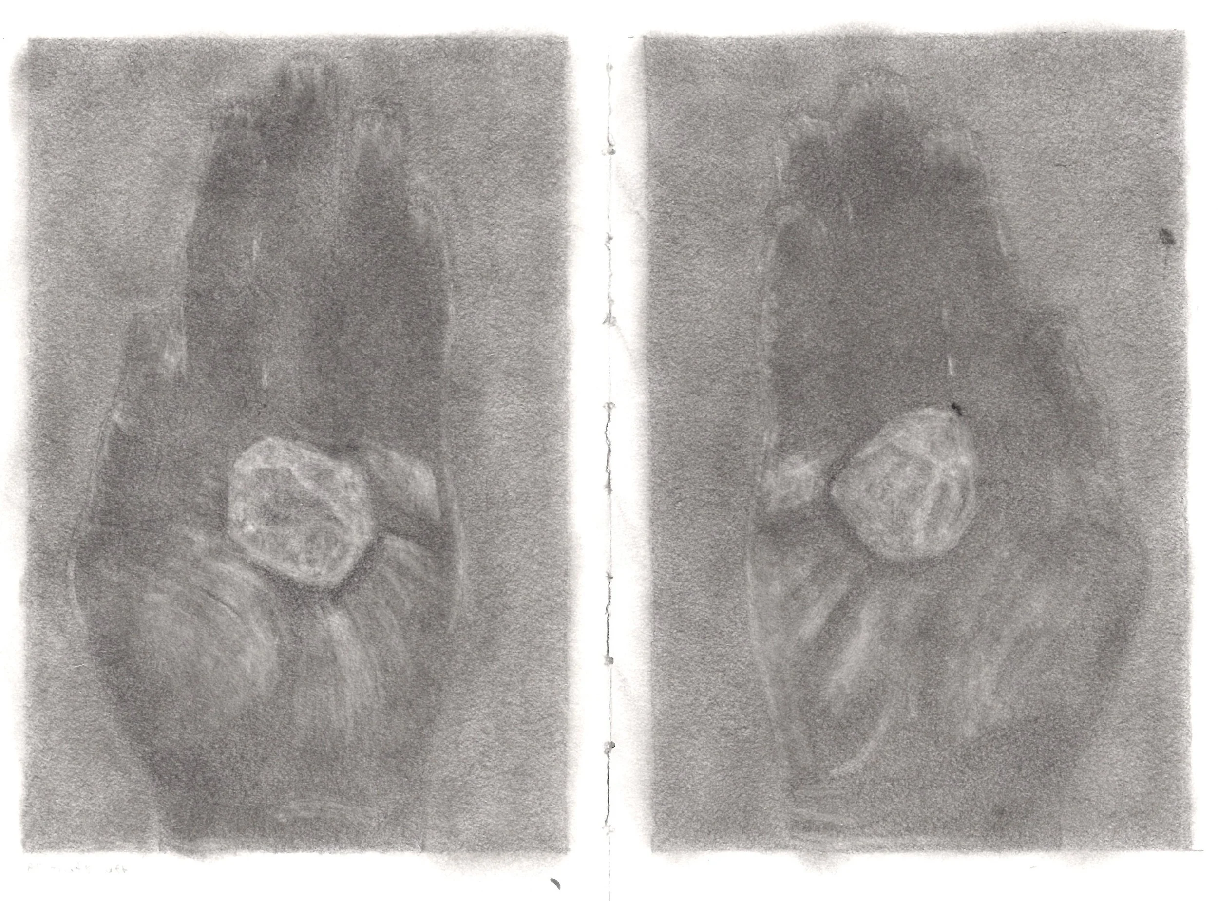 Nouran Husain_All That's Left.jpg