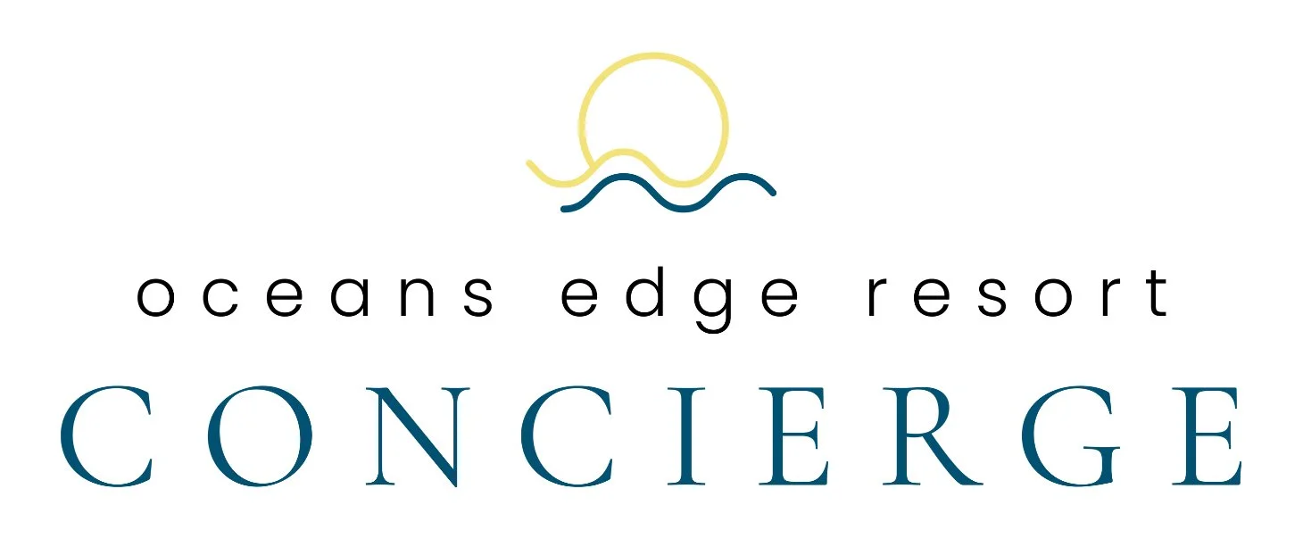 Fun At Ocean&#39;s Edge