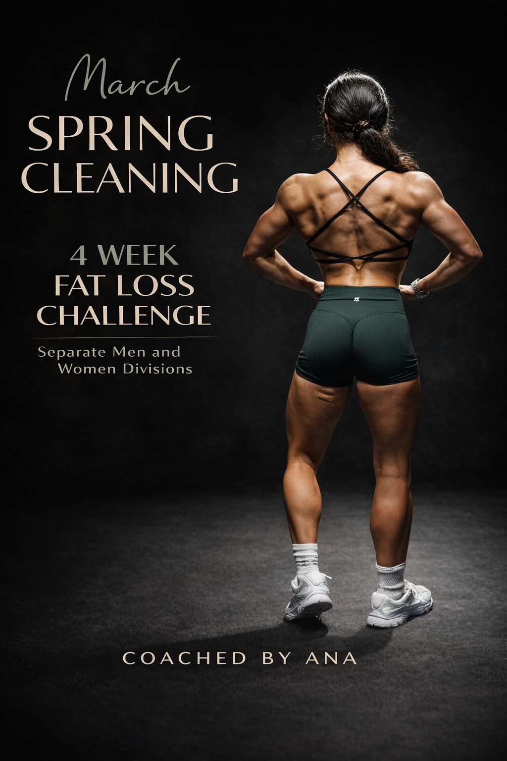 MARCH SPRING CLEANING CHALLENGE