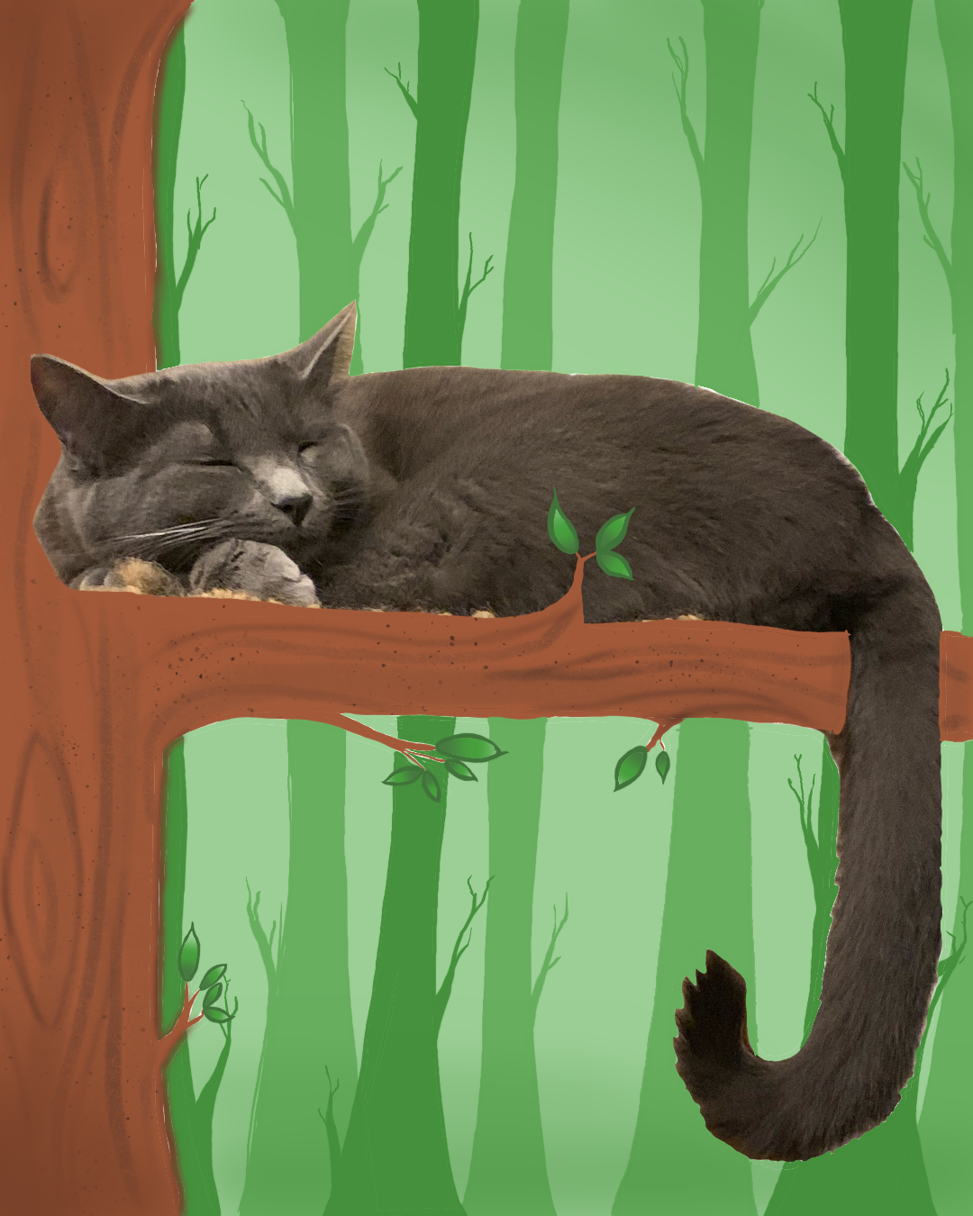 baby panther 78 1.png