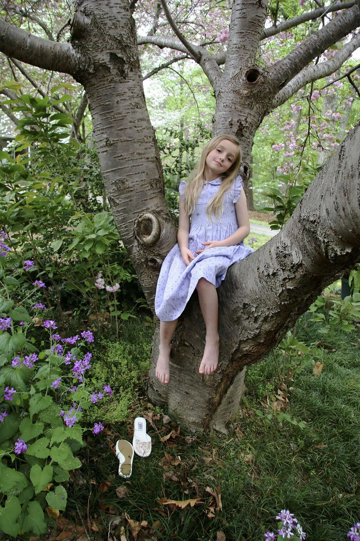 A young girl in a purple dress sitting on a tree branch amidst pink blossoms, with white shoes on the grass below.