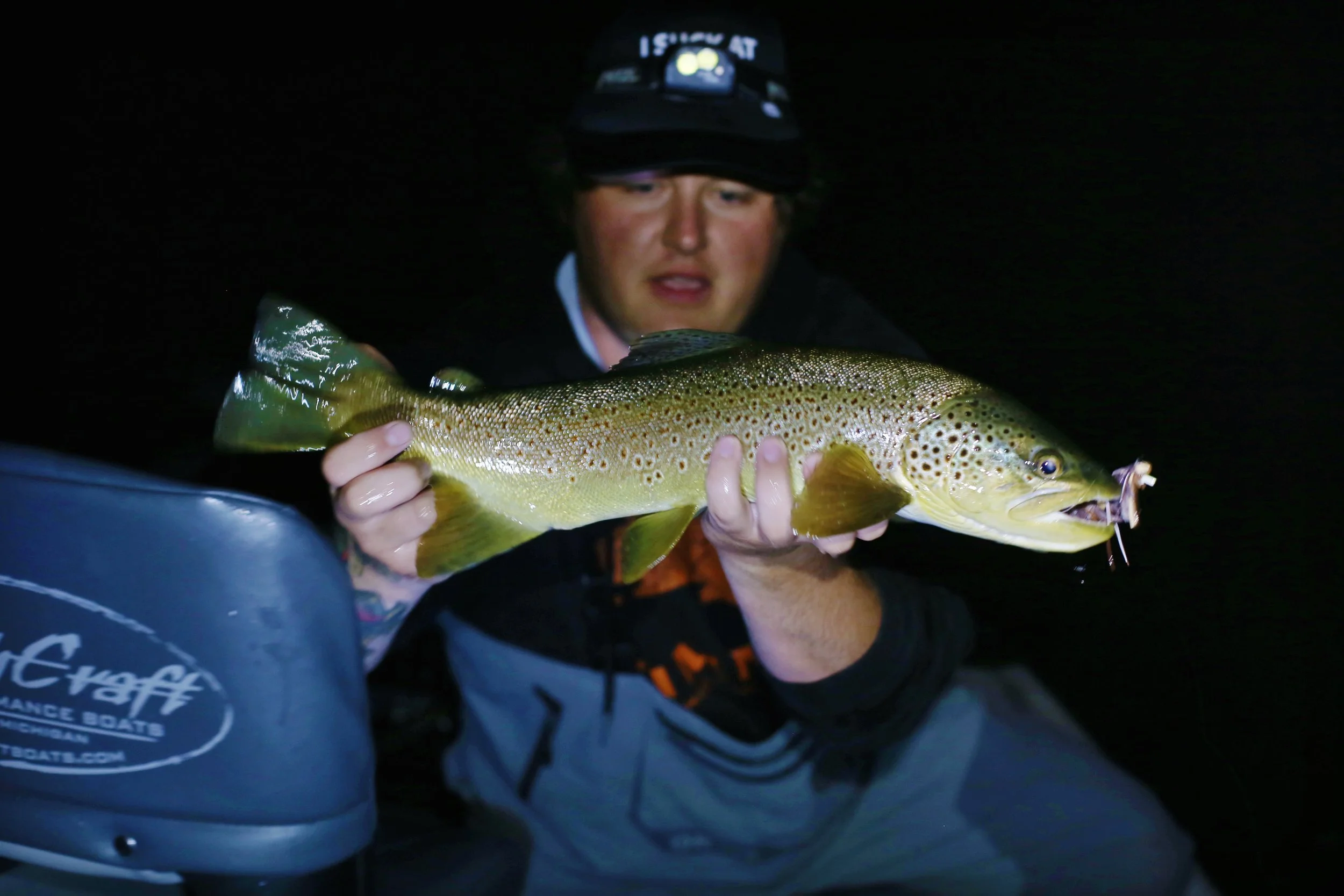 Person wearing a headlamp holding a large brown and yellow fish at night.