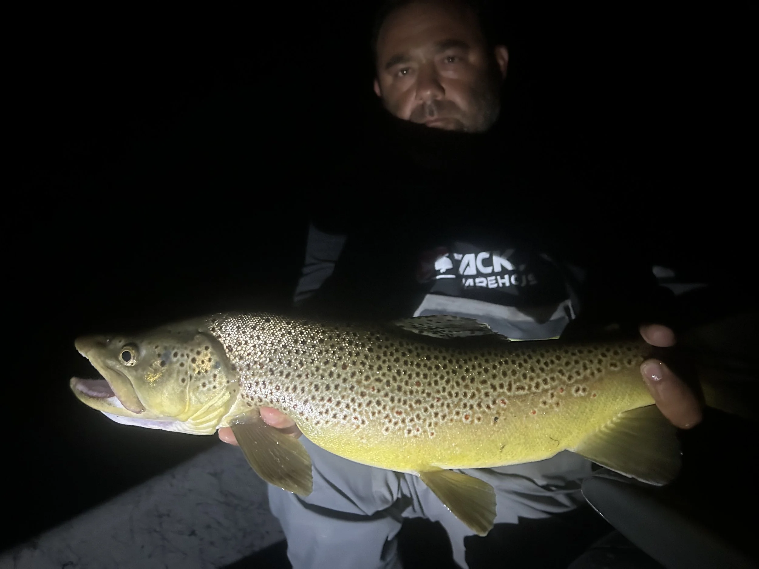 Man holding a large rainbow trout at night.