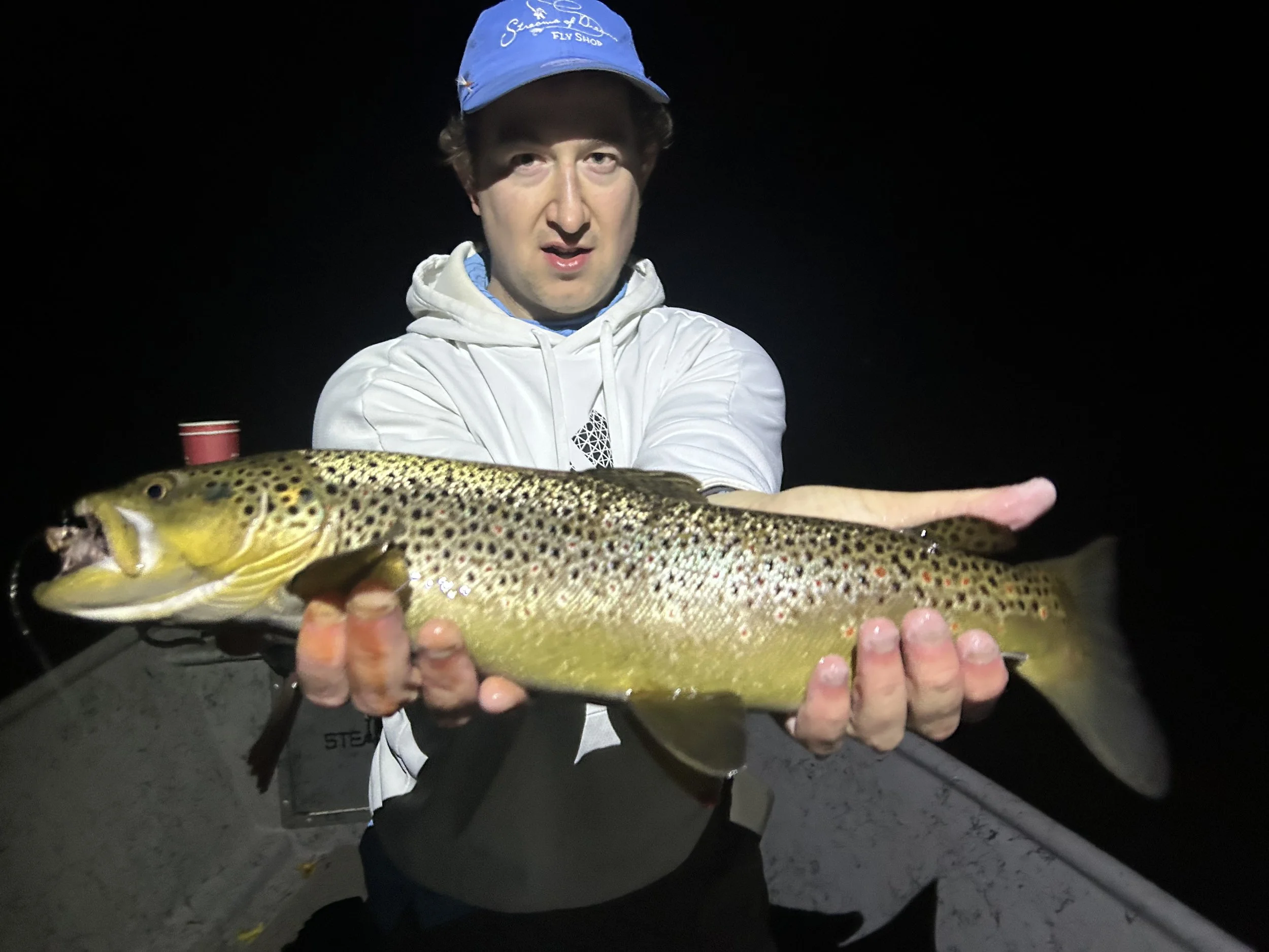 A man wearing a white hoodie and a blue cap holding a large rainbow trout at night.