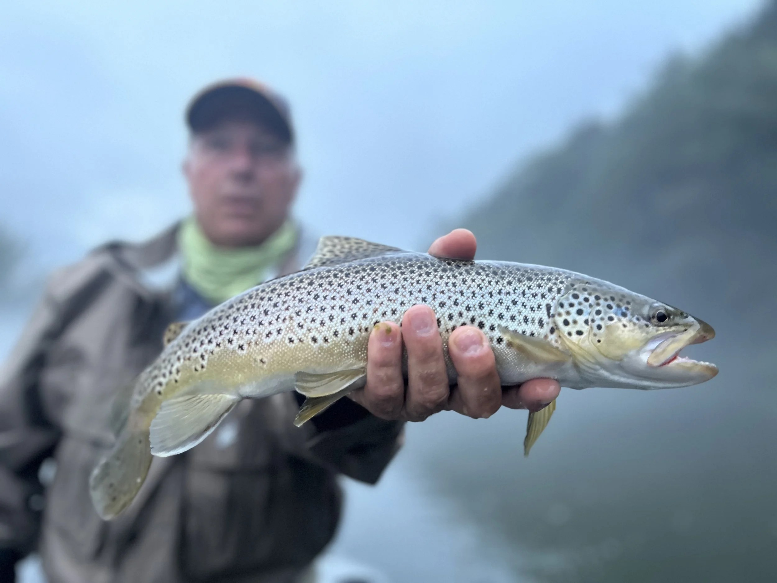 A person wearing outdoor clothing and a cap holding a rainbow trout fish with a misty background