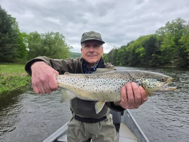 A man holding a large rainbow trout while on a boat in a river, with green trees and a cloudy sky in the background.