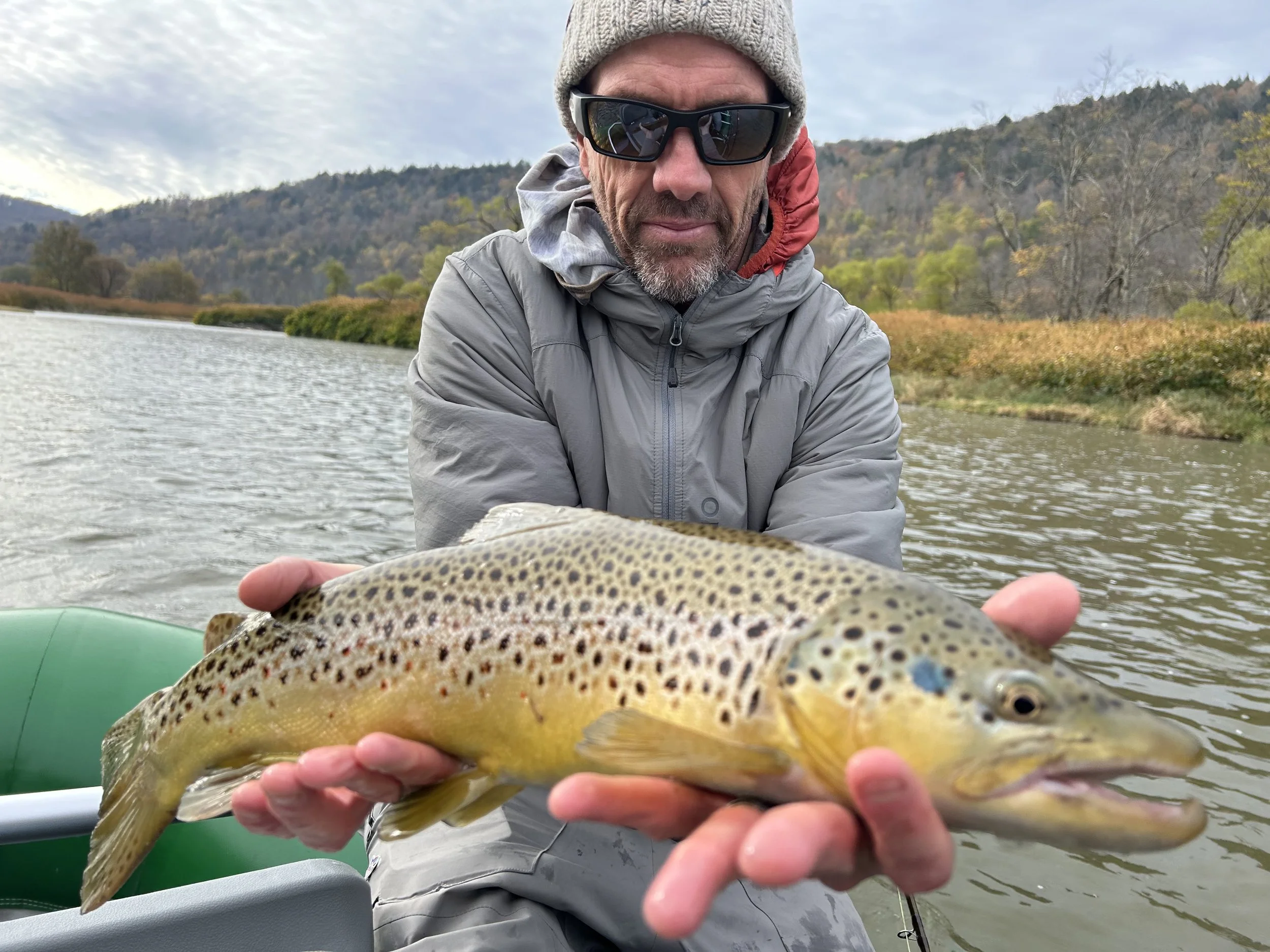 Man wearing gray jacket, beanie, and sunglasses holding a large brown trout in a river with a backdrop of autumn trees and hills.
