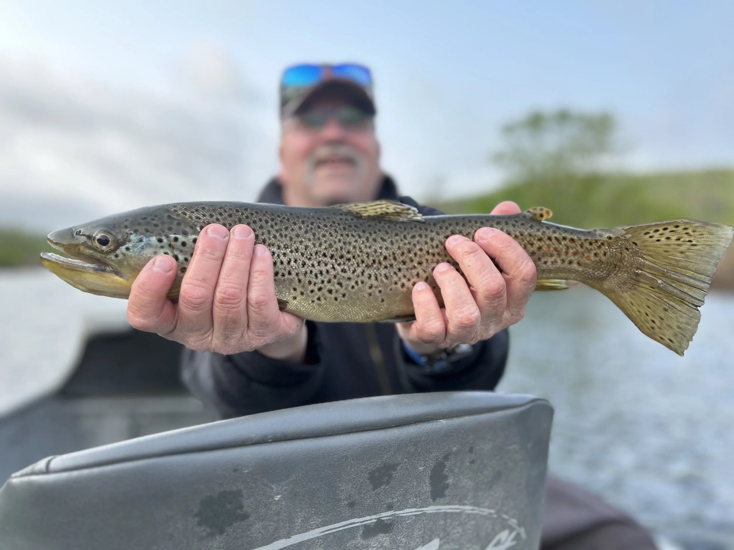Man holding a large trout fish in a boat on a cloudy day, with trees in the background.