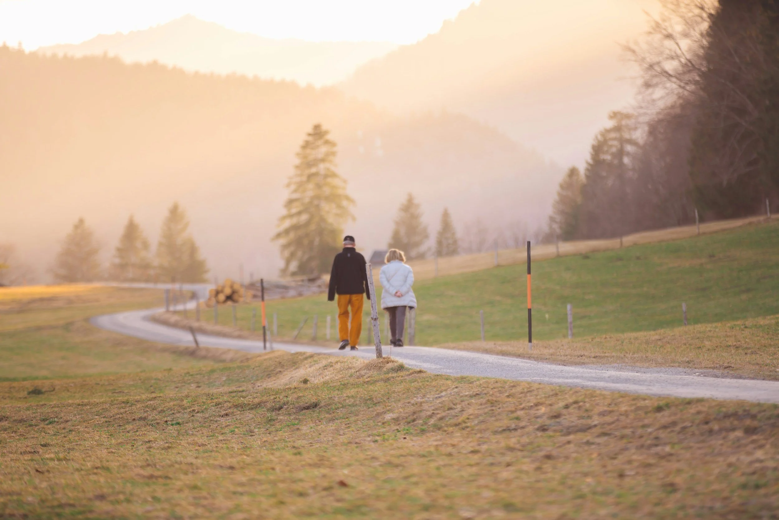 Two people walking on a winding country road surrounded by grass and trees during a misty sunrise or sunset.