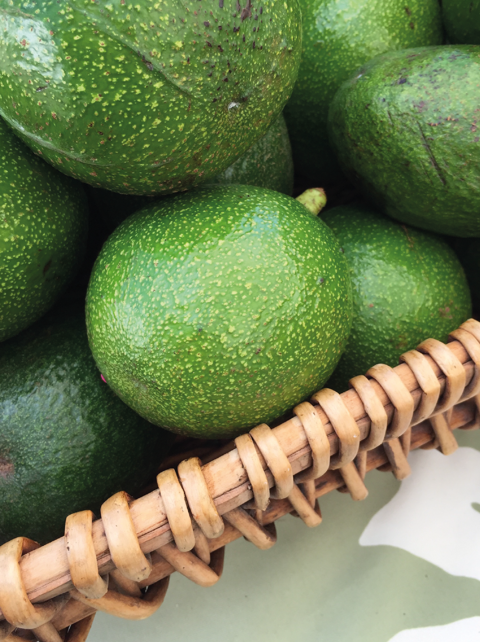 paltas en cesto-10.png