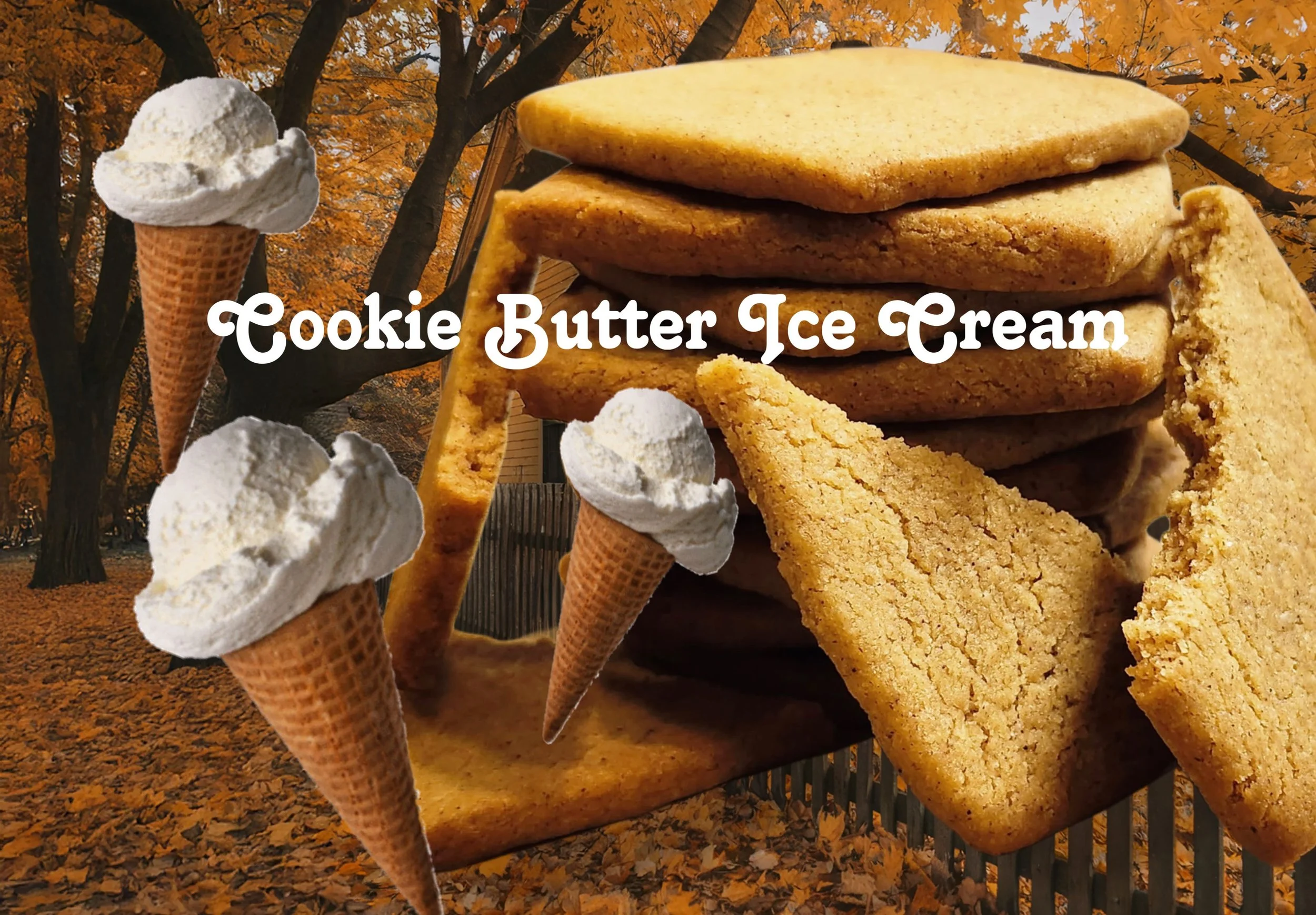 One of our scrumptious October seasonal flavors is Cookie Butter!  Our rich, smooth sweet cream ice cream with a swirl of house made cookie butter based on these golden, buttery spice cookies that are better than store bought by miles, thanks to pie 