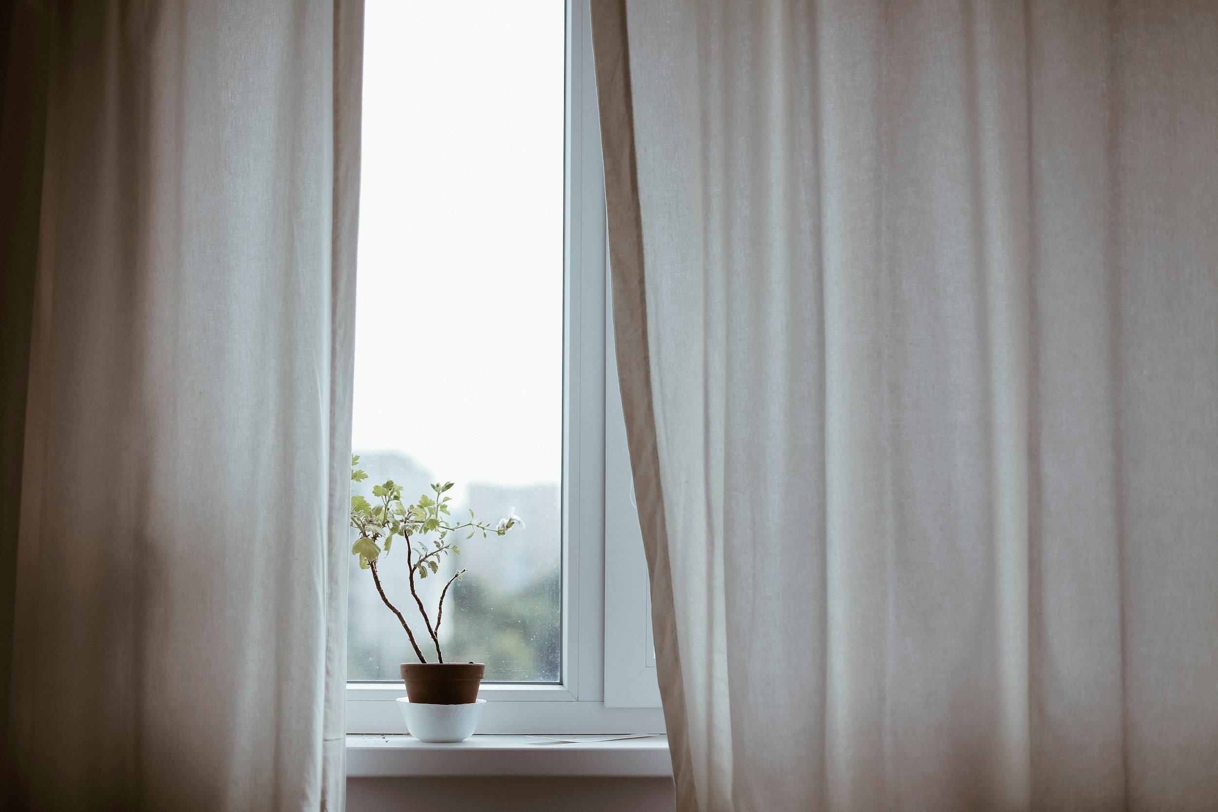 A windowsill with a potted plant, partially covered by light-colored curtains, with bright daylight outside.