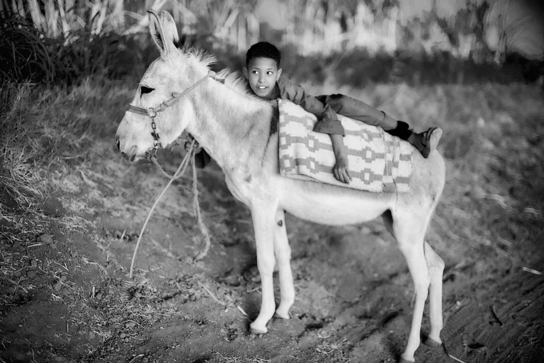 Egyptian boy and Donkey-
#lightofthenilemoon #travelportraits #portraits #portraitphotography #portraiture